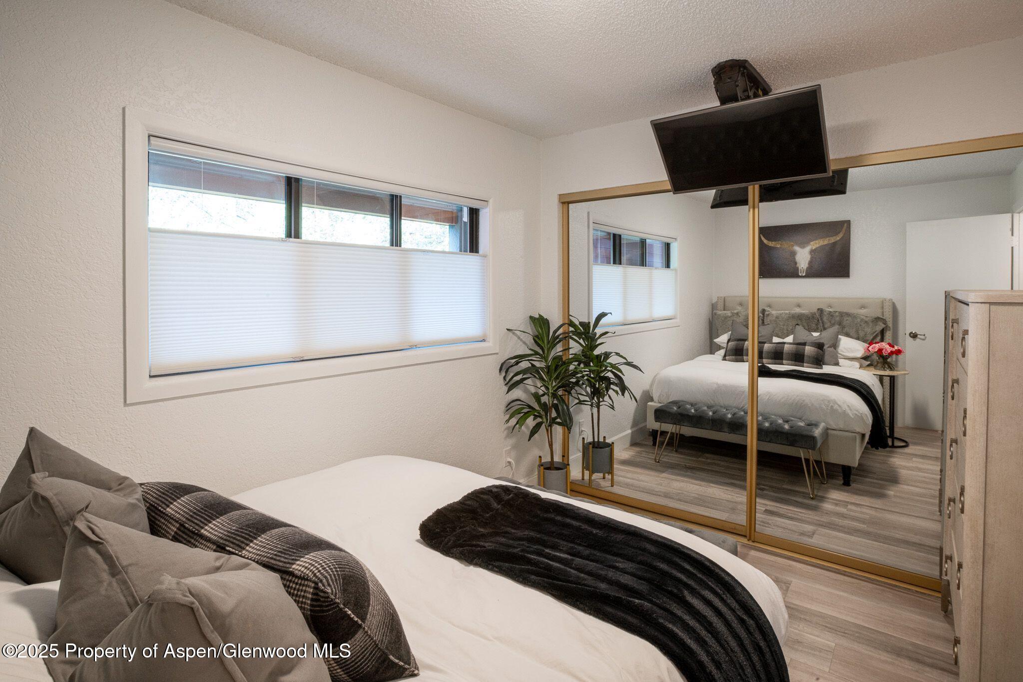 1328 Vine Aspen CO 81611