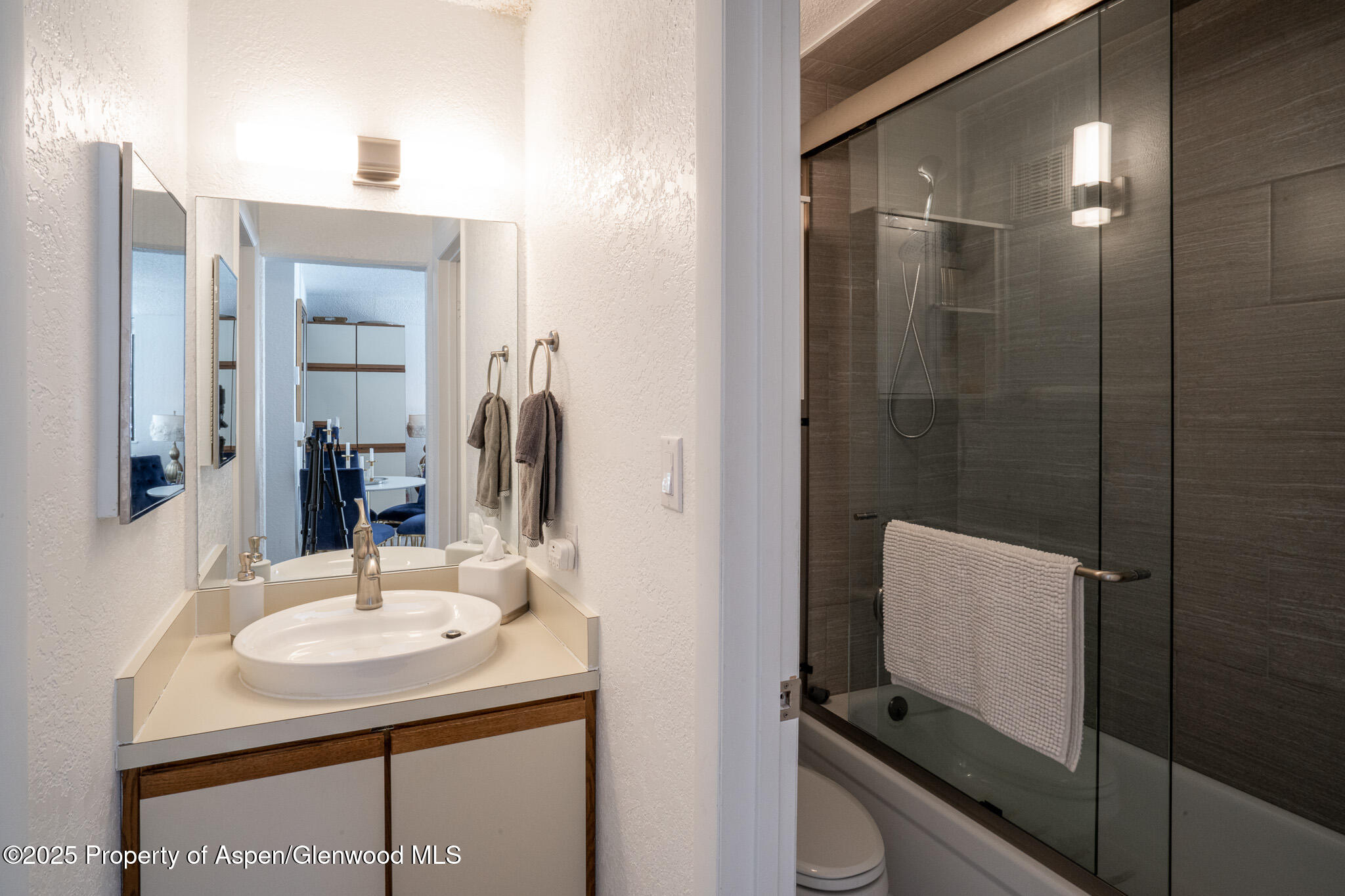 1328 Vine Aspen CO 81611