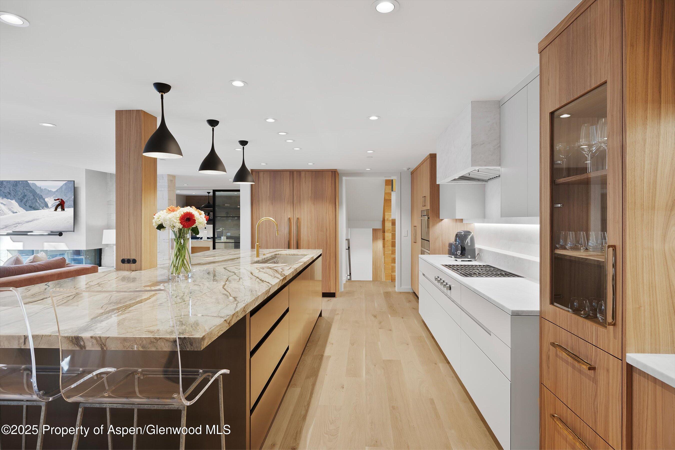 55 Smuggler Grove Road Aspen CO 81611