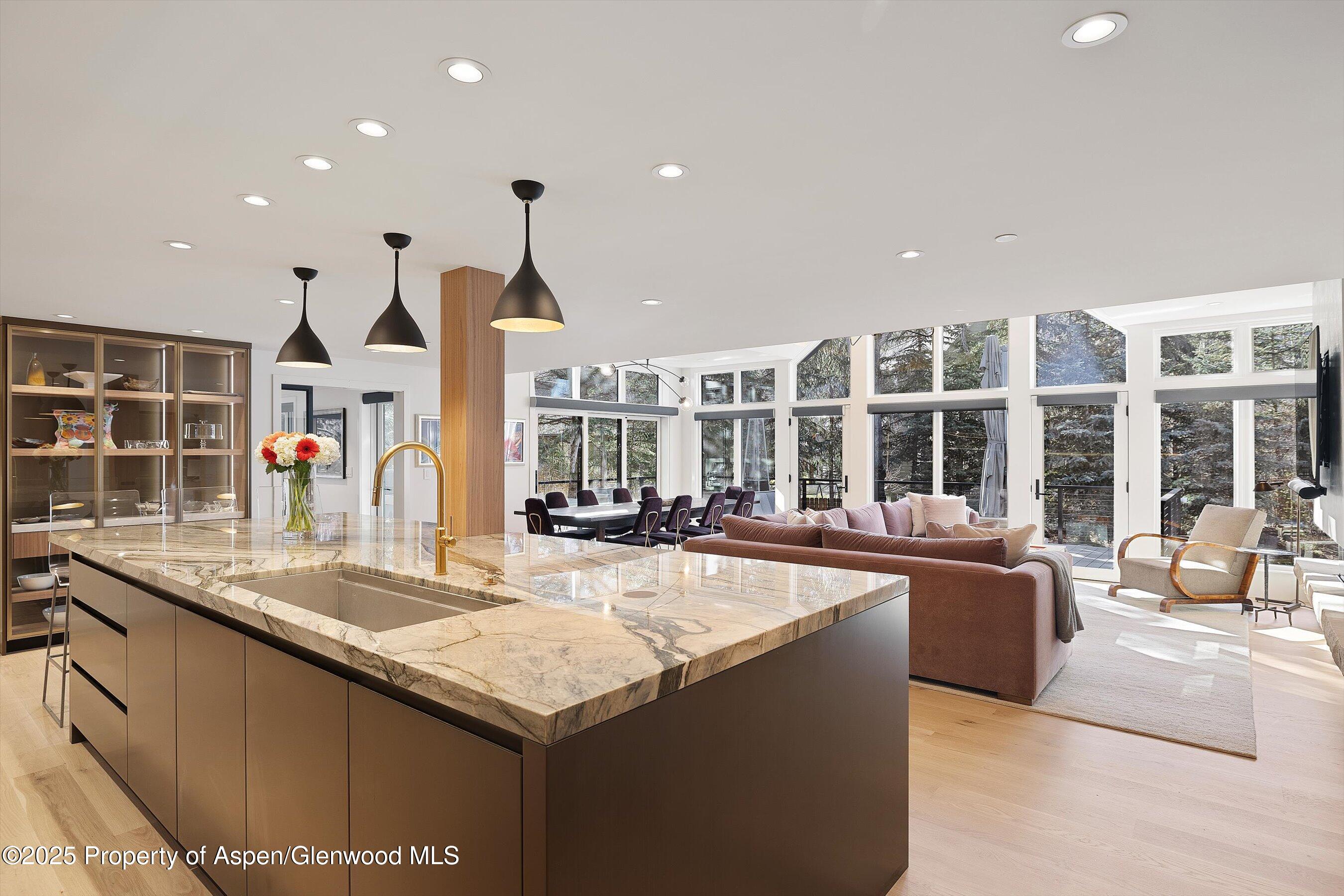 55 Smuggler Grove Road Aspen CO 81611