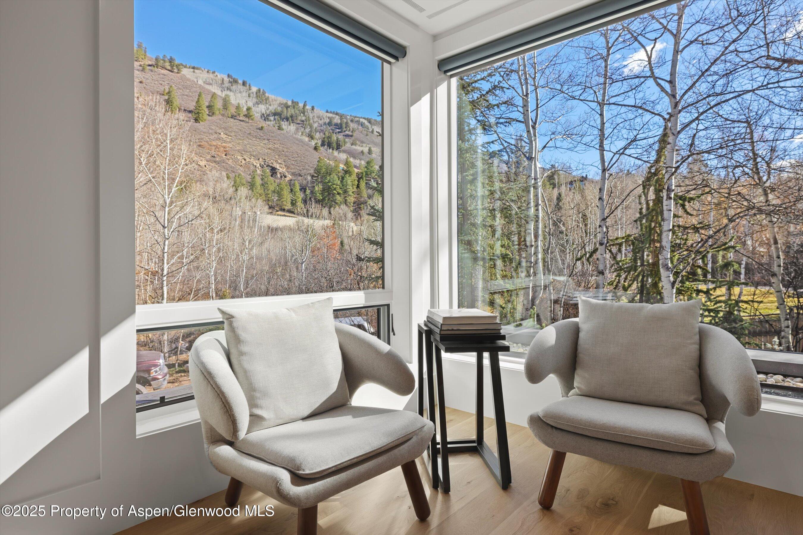 55 Smuggler Grove Road Aspen CO 81611