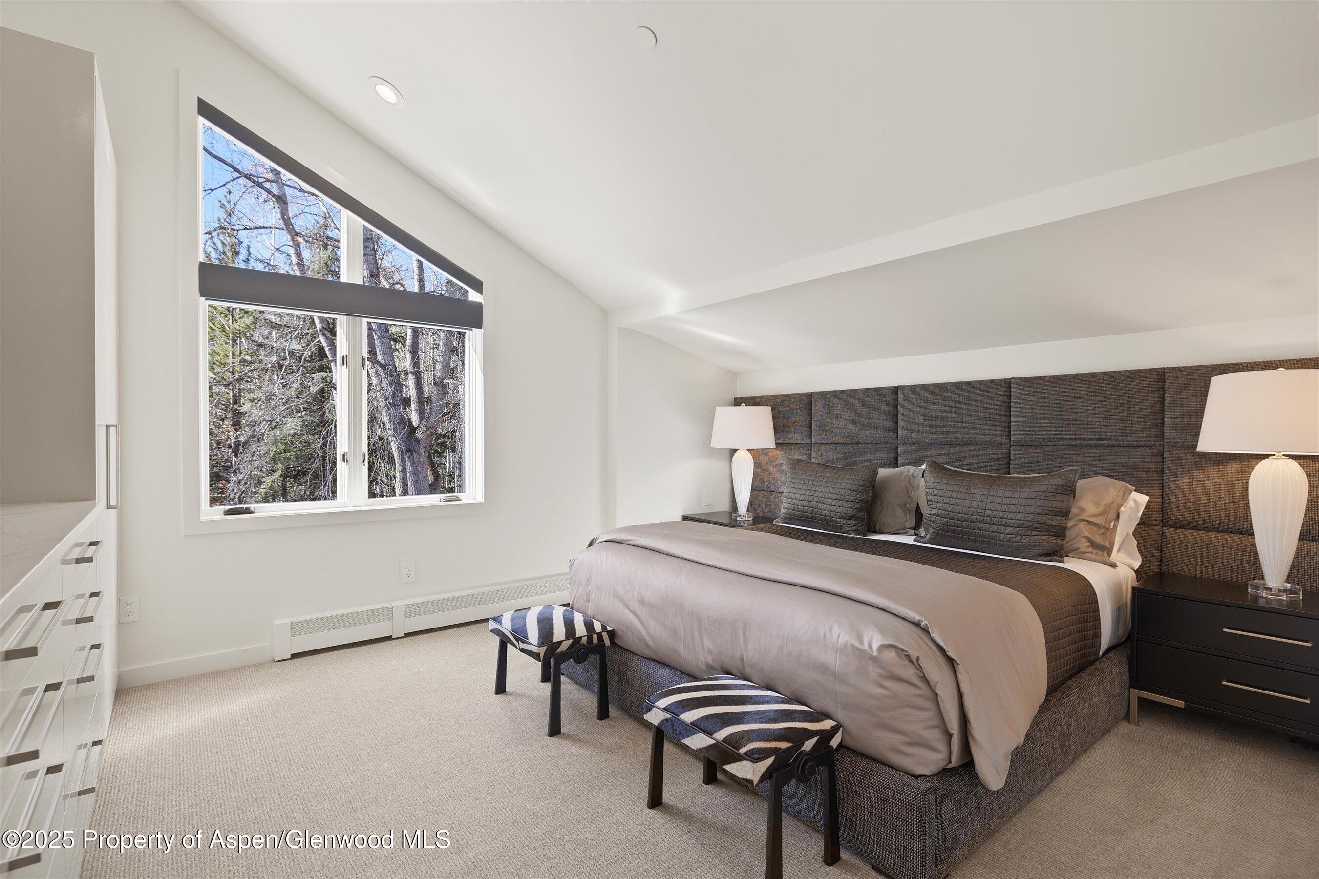 55 Smuggler Grove Road Aspen CO 81611