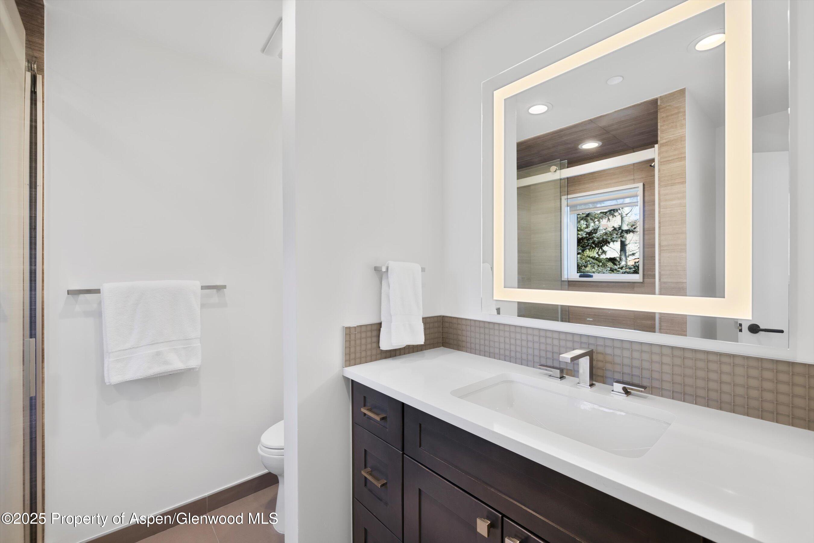 55 Smuggler Grove Road Aspen CO 81611