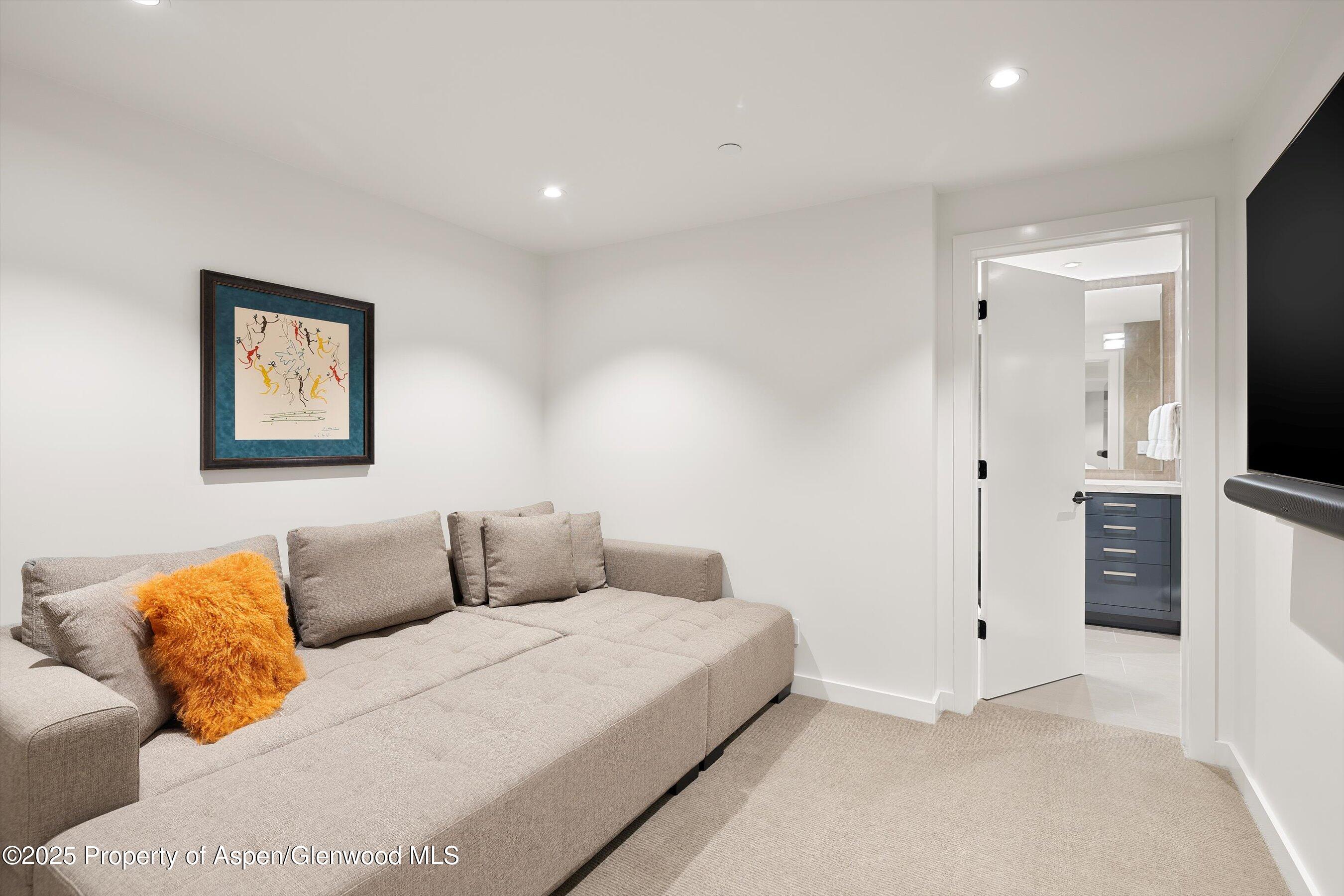 55 Smuggler Grove Road Aspen CO 81611