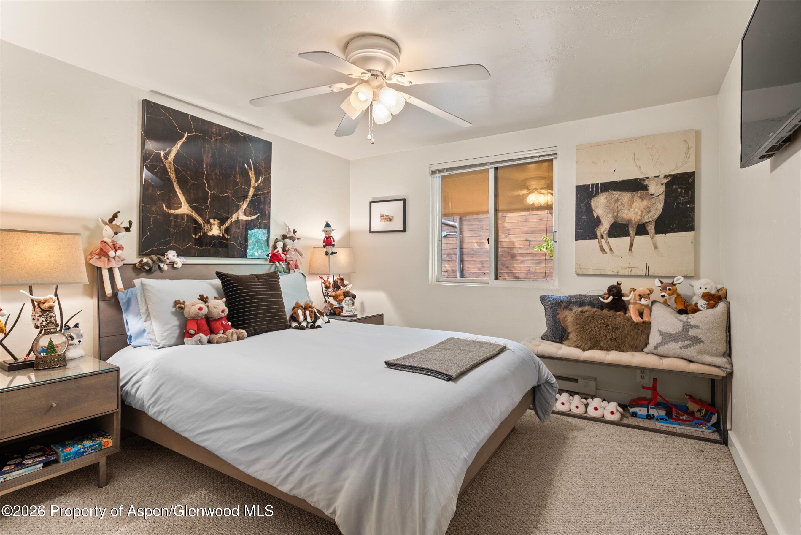 914 Waters Avenue Aspen CO 81611