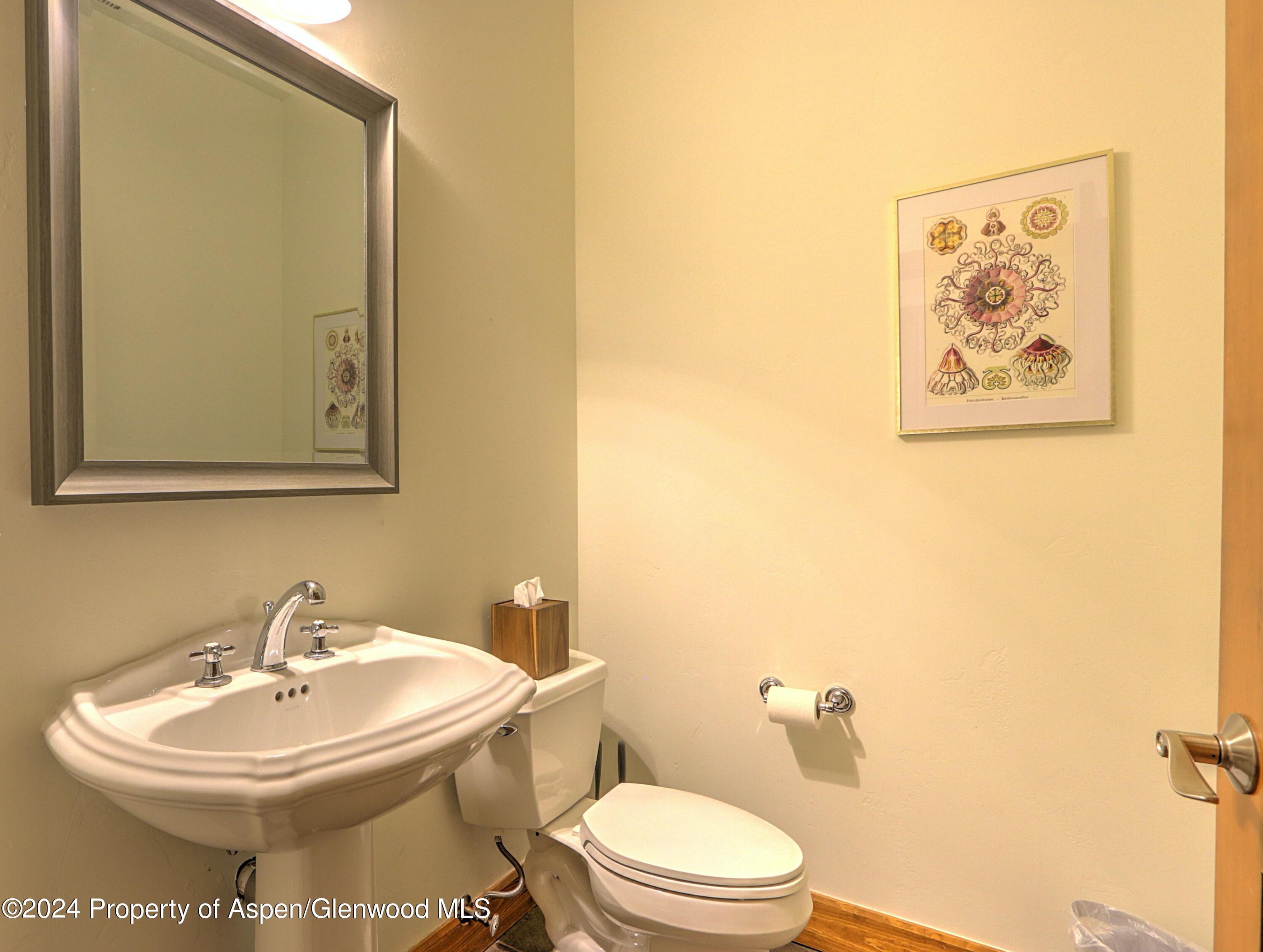 408 Settlement Lane Carbondale CO 81623