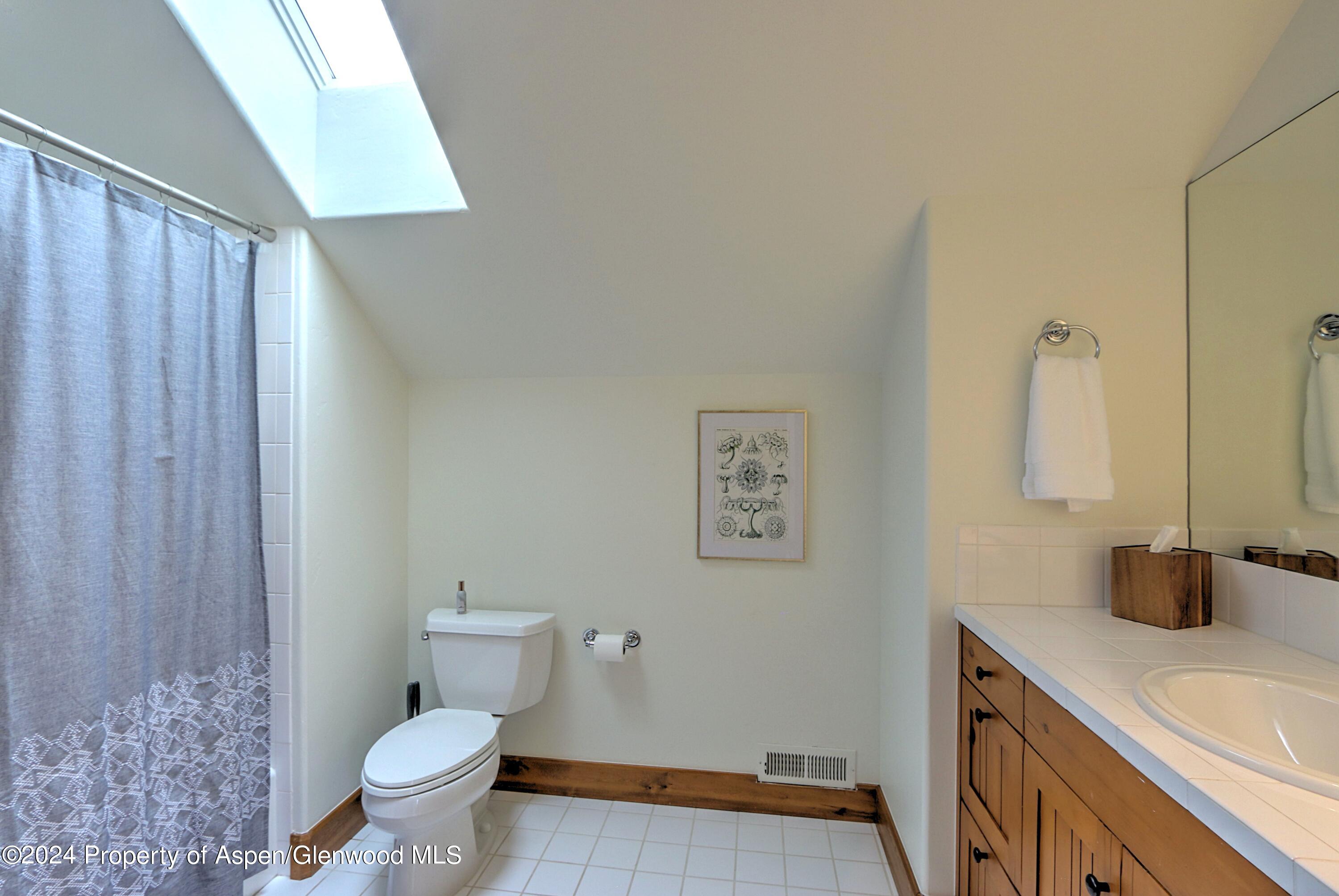 408 Settlement Lane Carbondale CO 81623