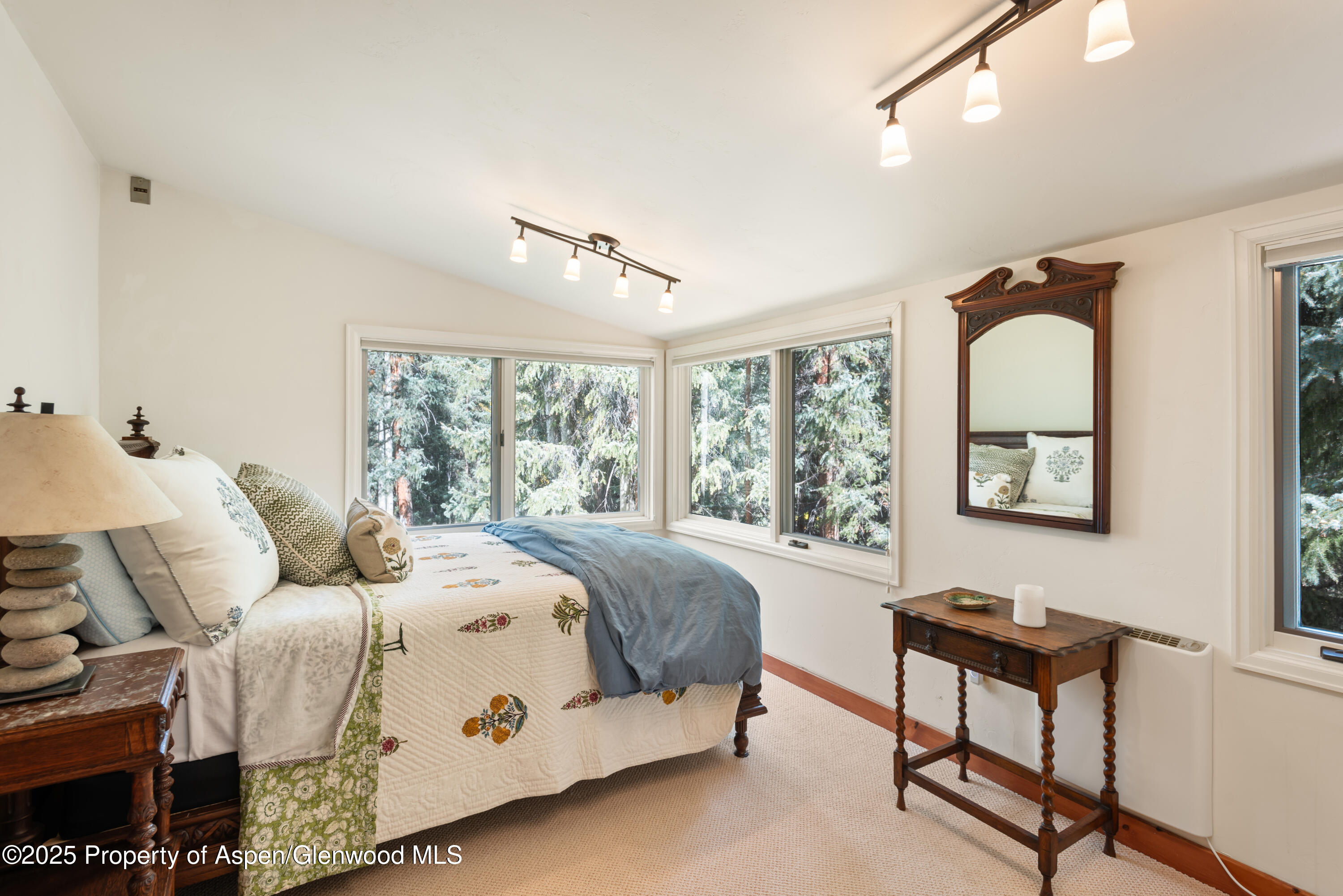 9676 Castle Creek Road Aspen CO 81611