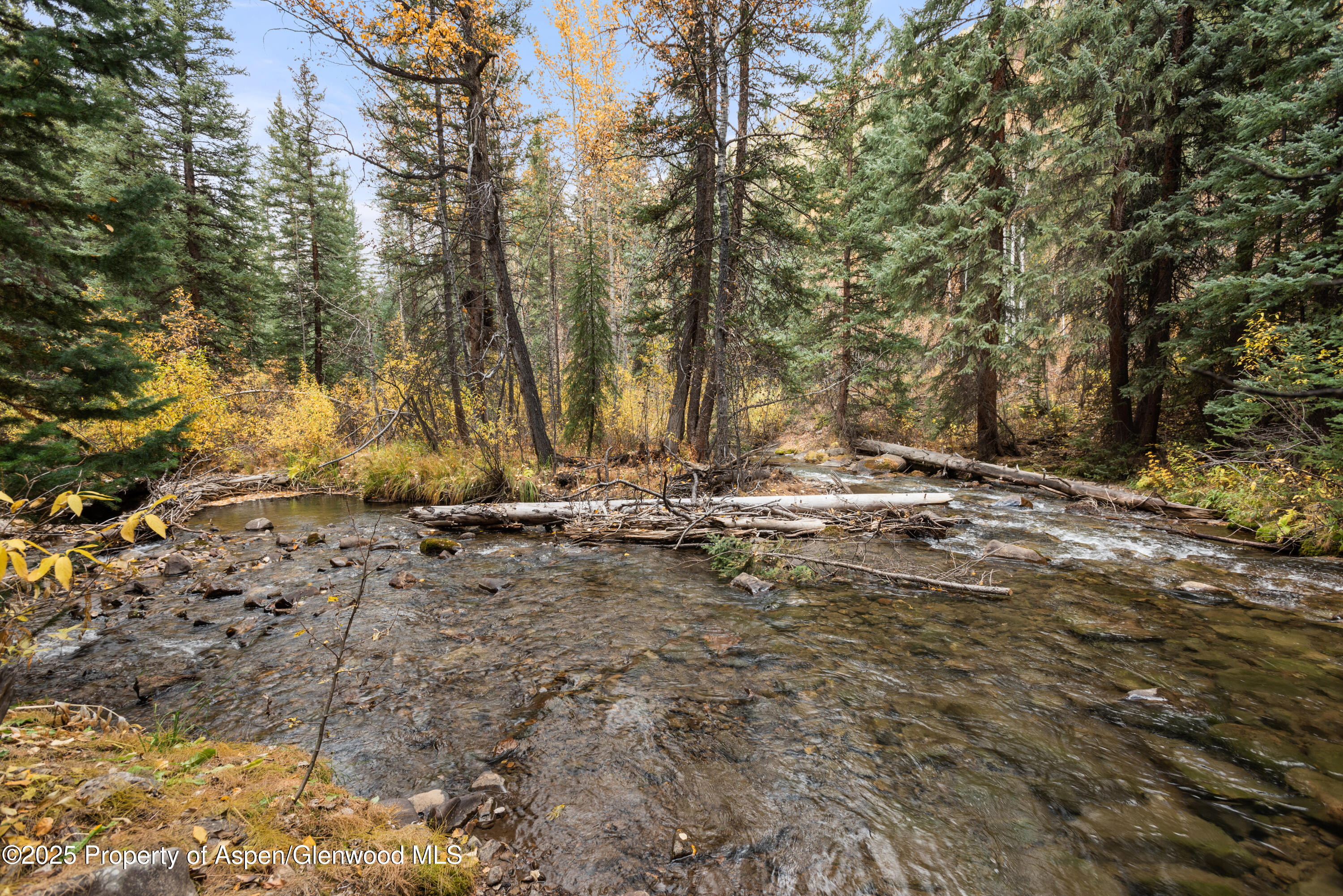 9676 Castle Creek Road Aspen CO 81611