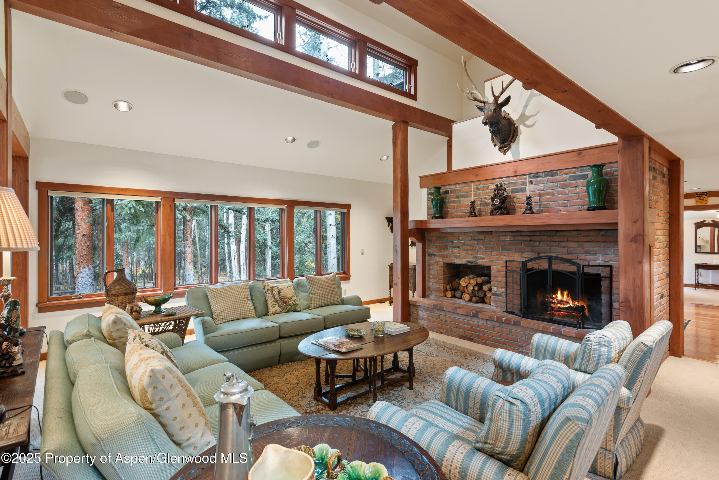 9676 Castle Creek Road Aspen CO 81611