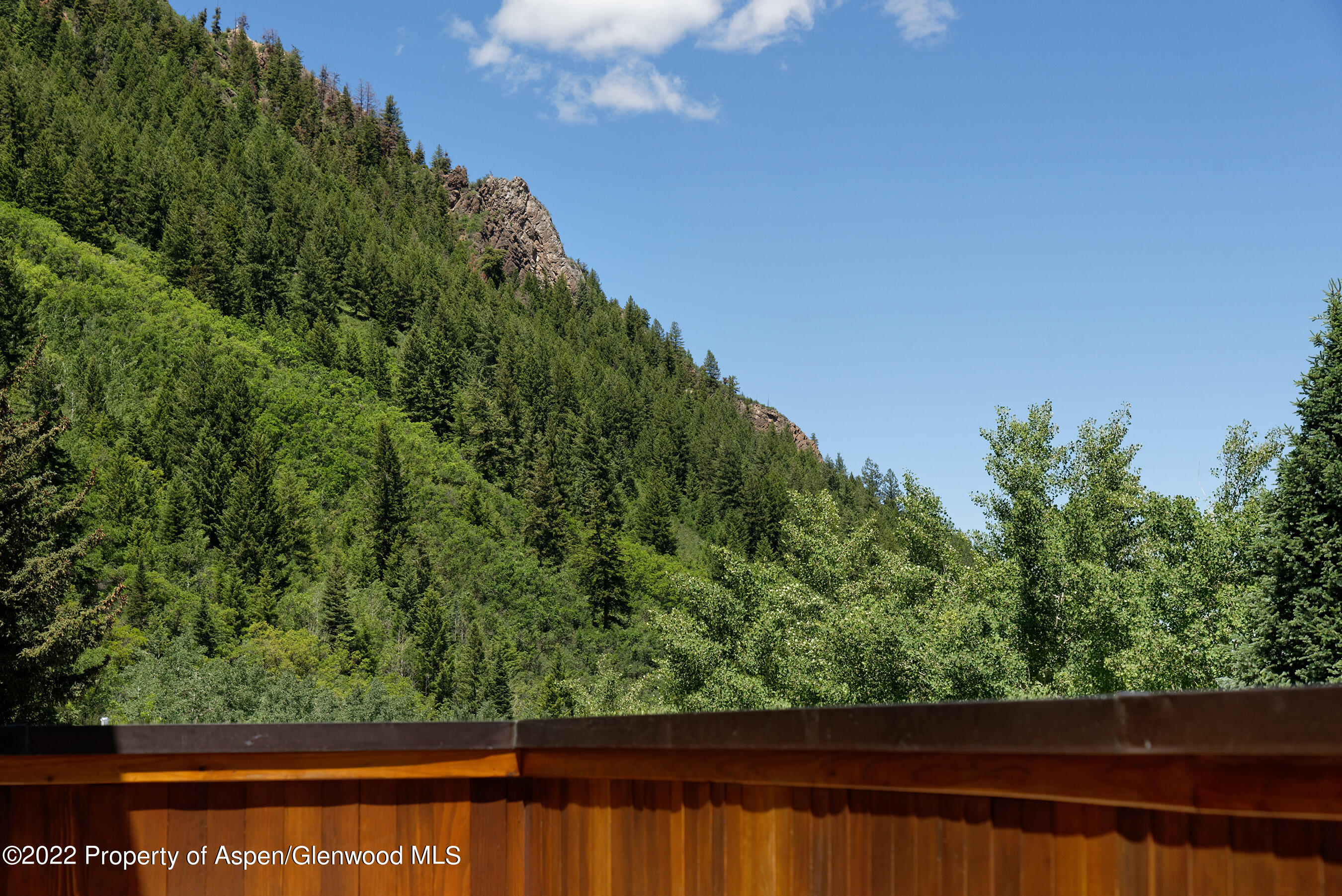 237 Gilbert Street Aspen CO 81611