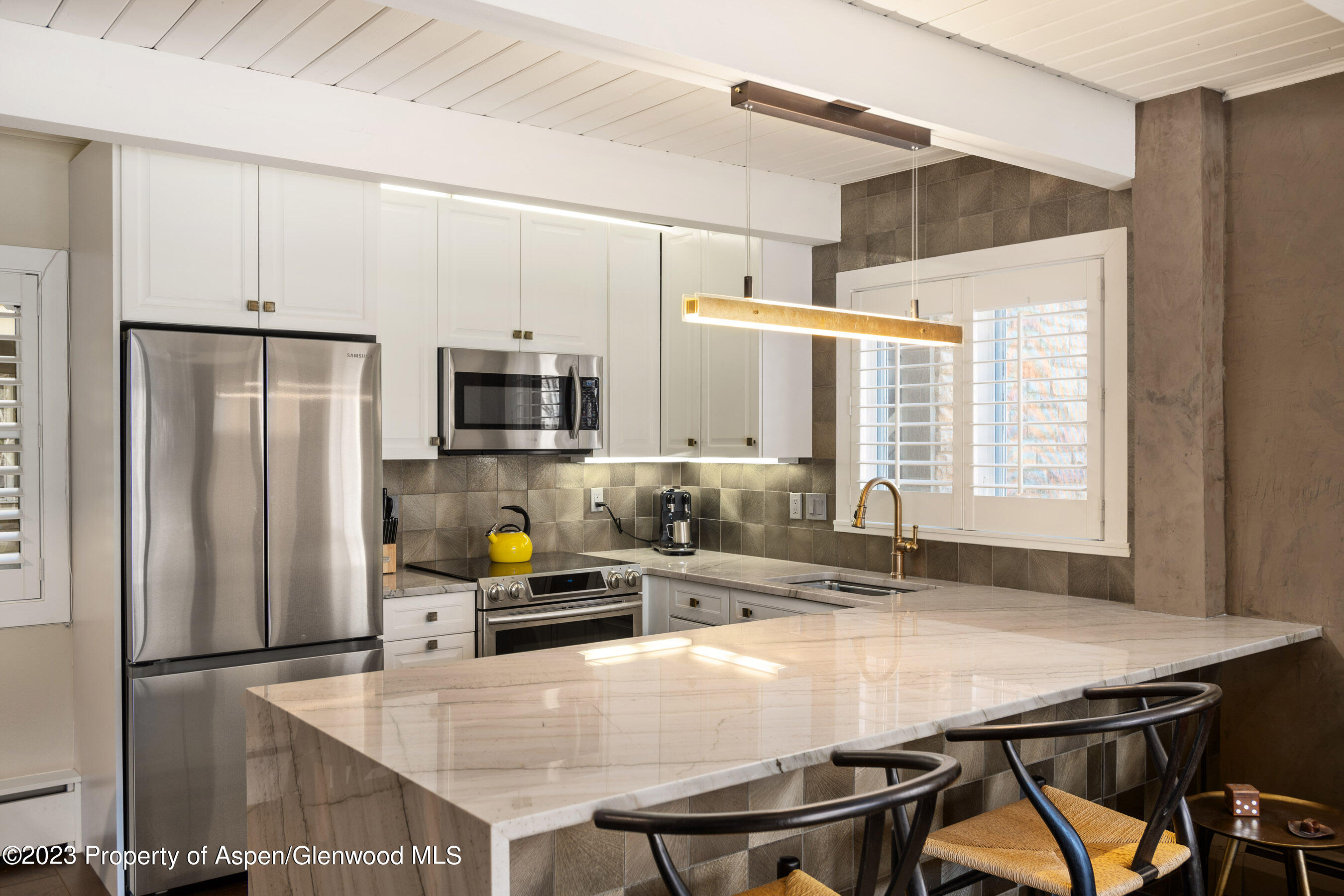 825 E Hopkins Avenue Aspen CO 81611