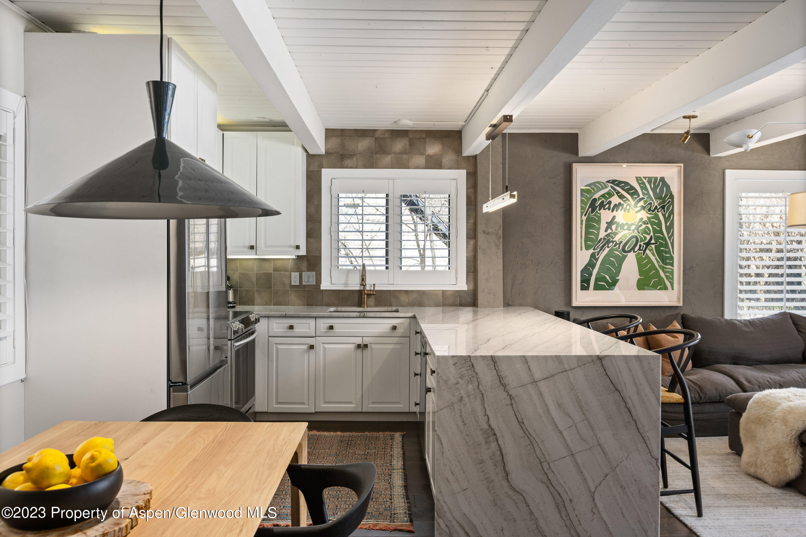 825 E Hopkins Avenue Aspen CO 81611