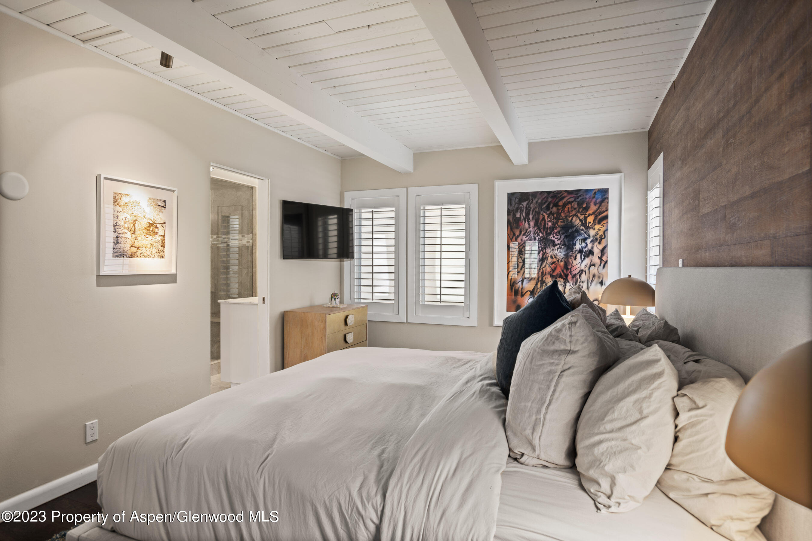 825 E Hopkins Avenue Aspen CO 81611