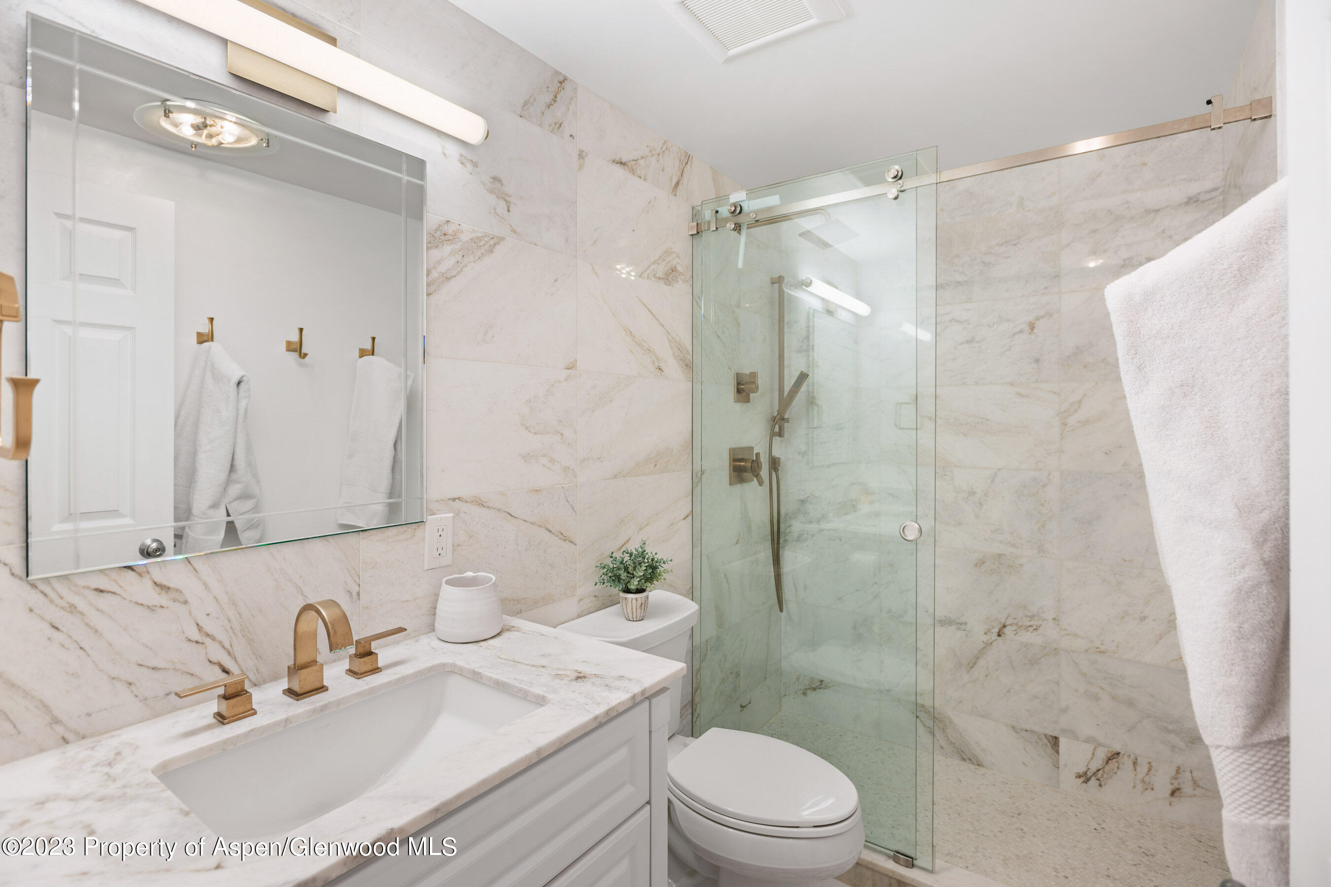 825 E Hopkins Avenue Aspen CO 81611