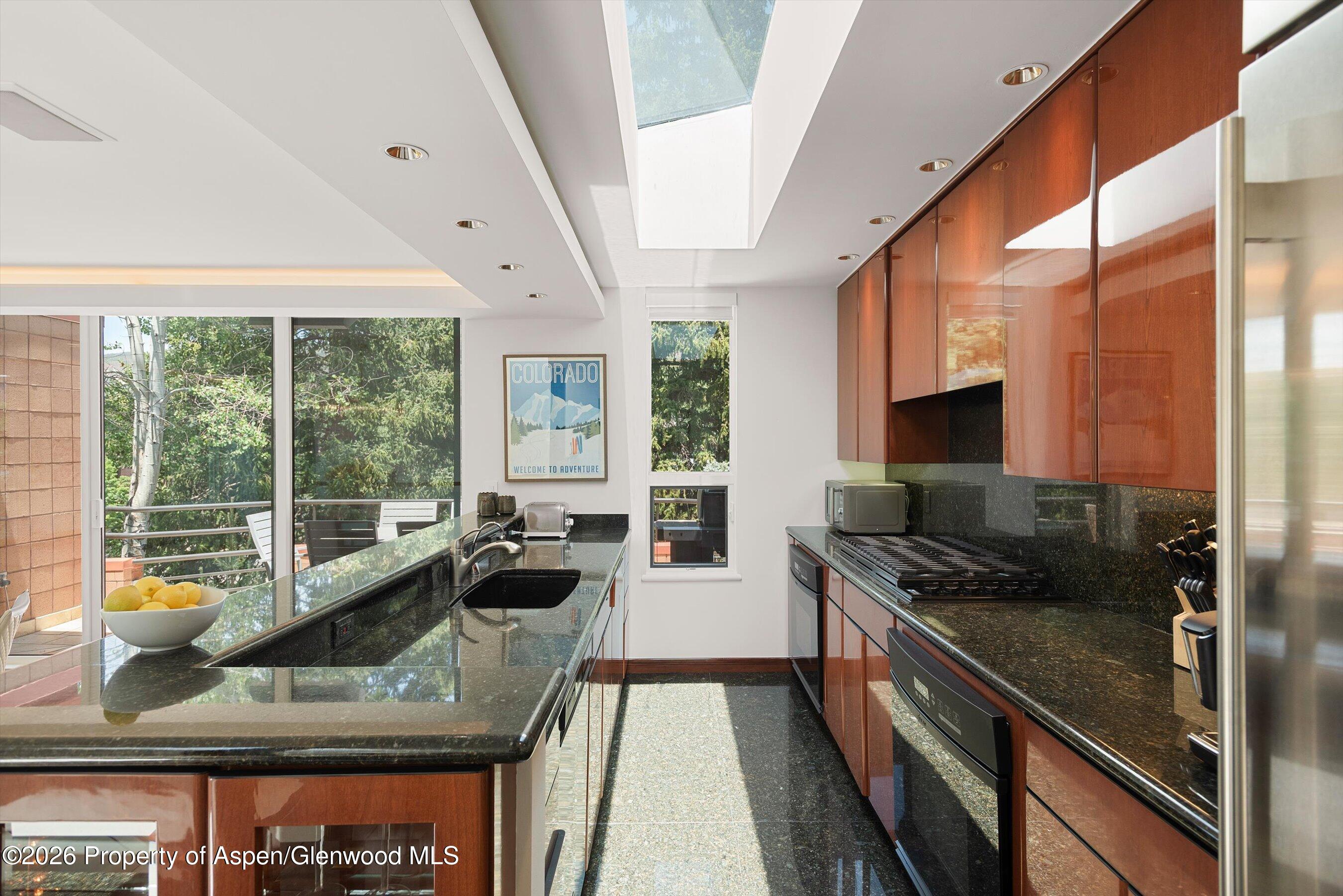208 S Spring Street Aspen CO 81611