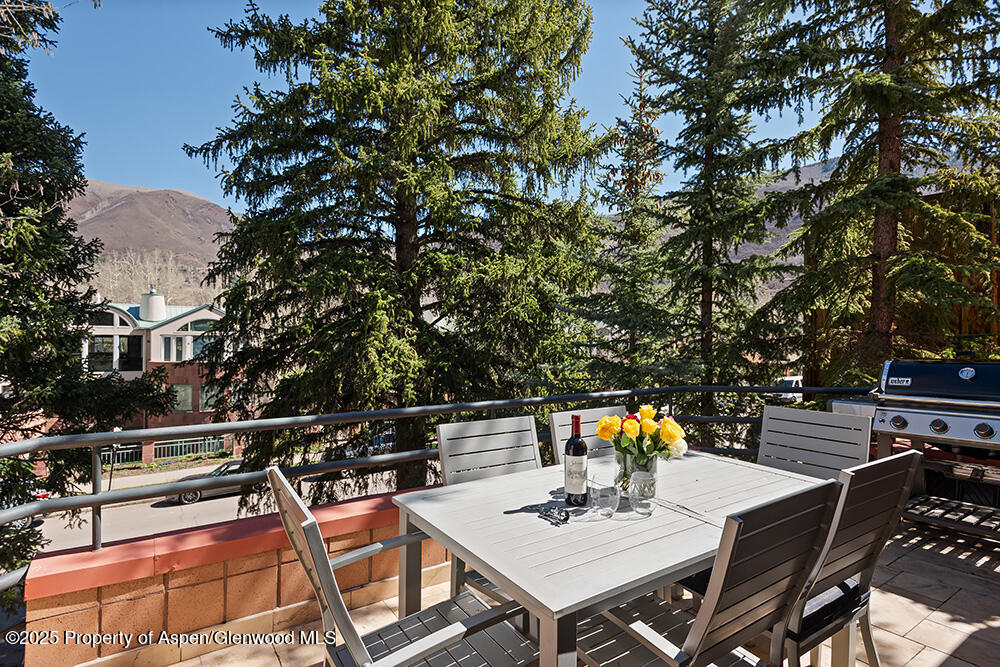 208 S Spring Street Aspen CO 81611