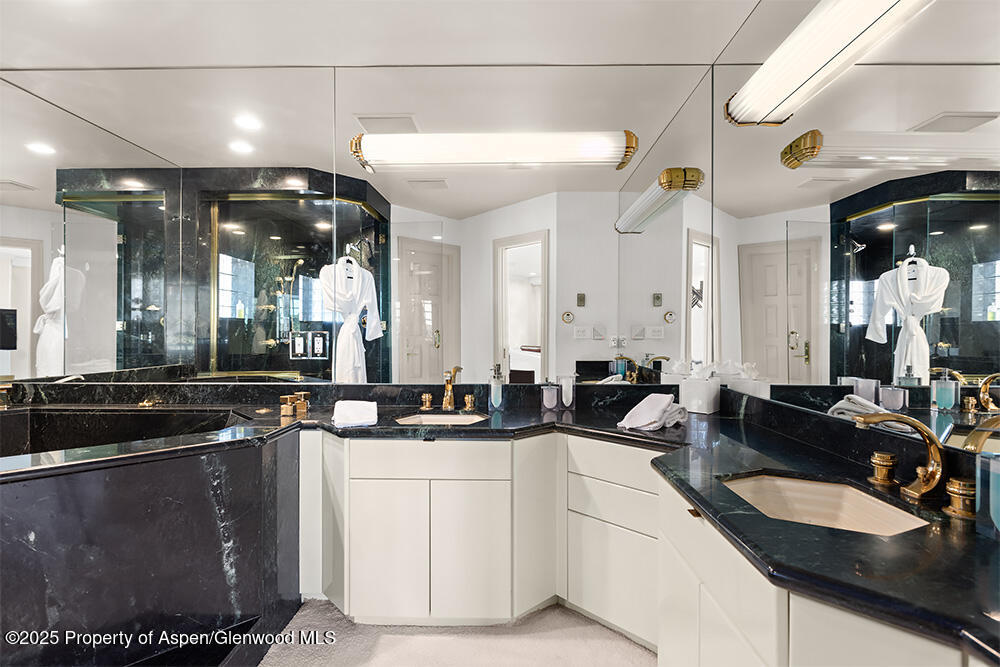 208 S Spring Street Aspen CO 81611