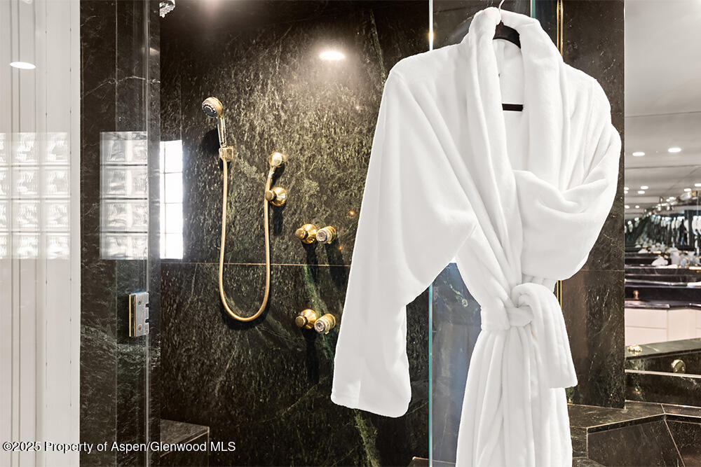 208 S Spring Street Aspen CO 81611