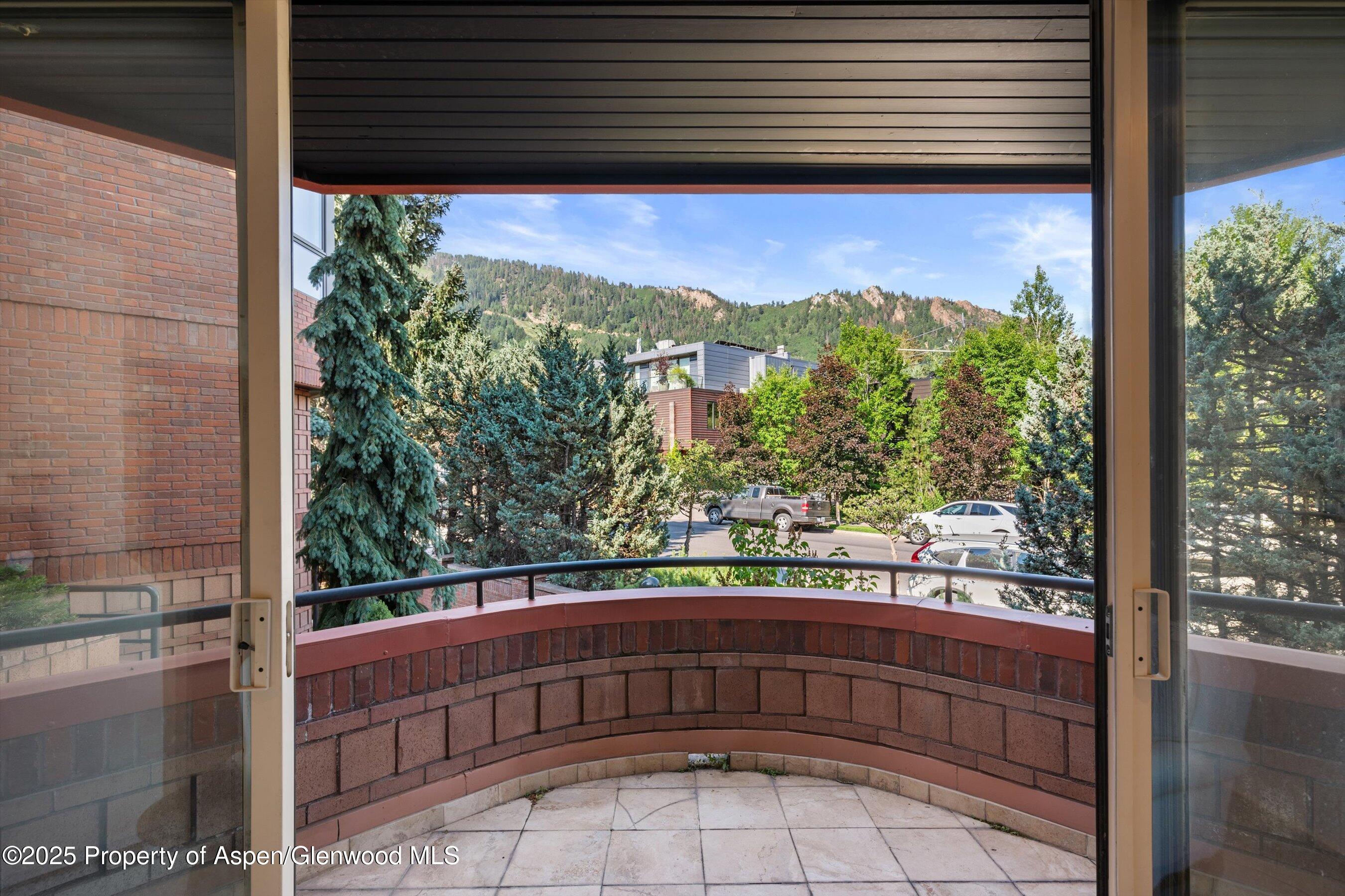 208 S Spring Street Aspen CO 81611