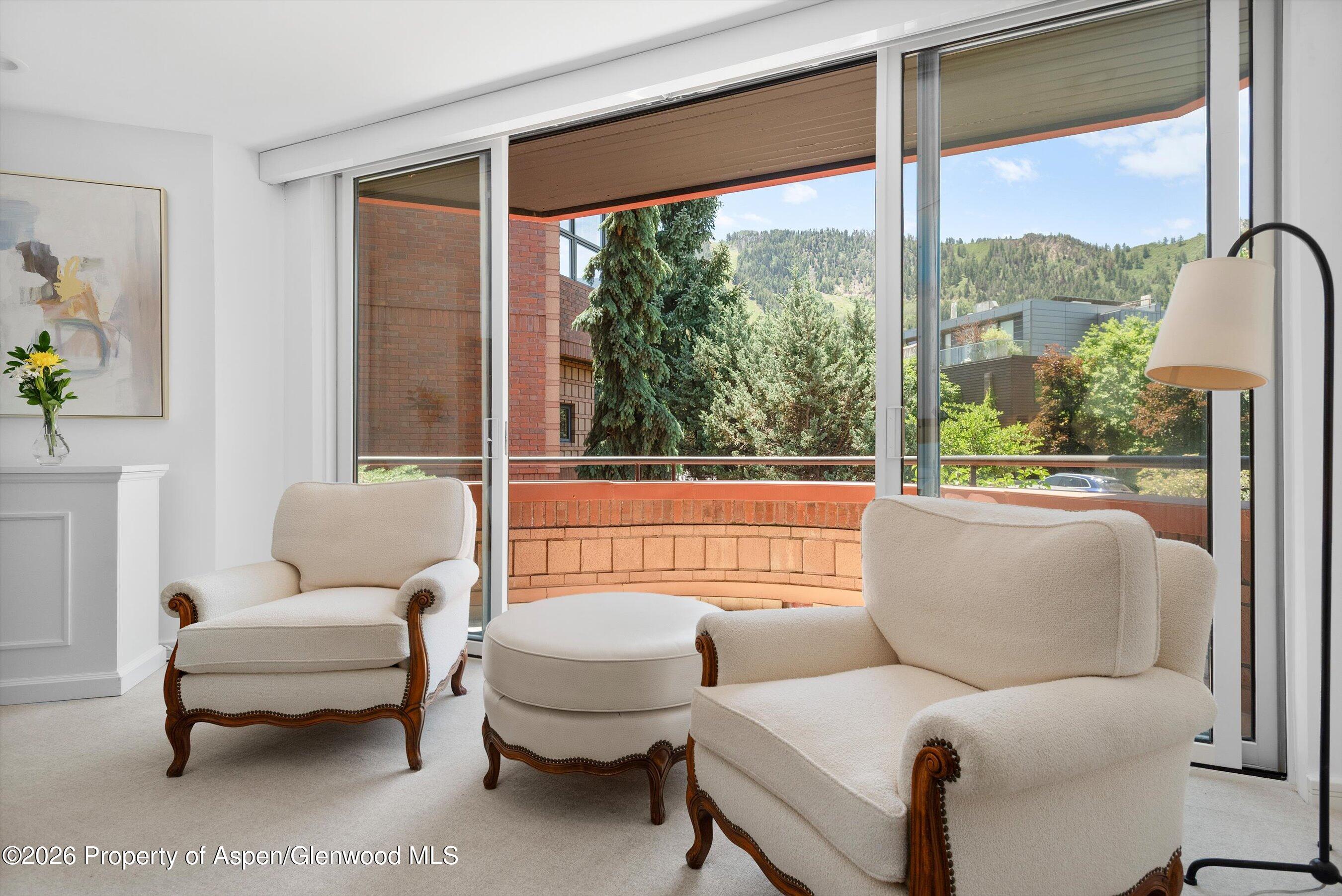 208 S Spring Street Aspen CO 81611
