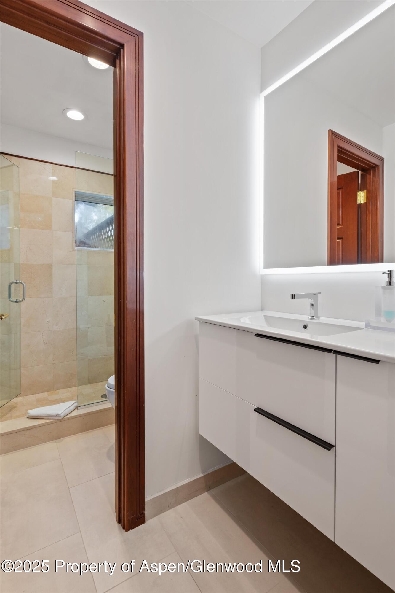 208 S Spring Street Aspen CO 81611