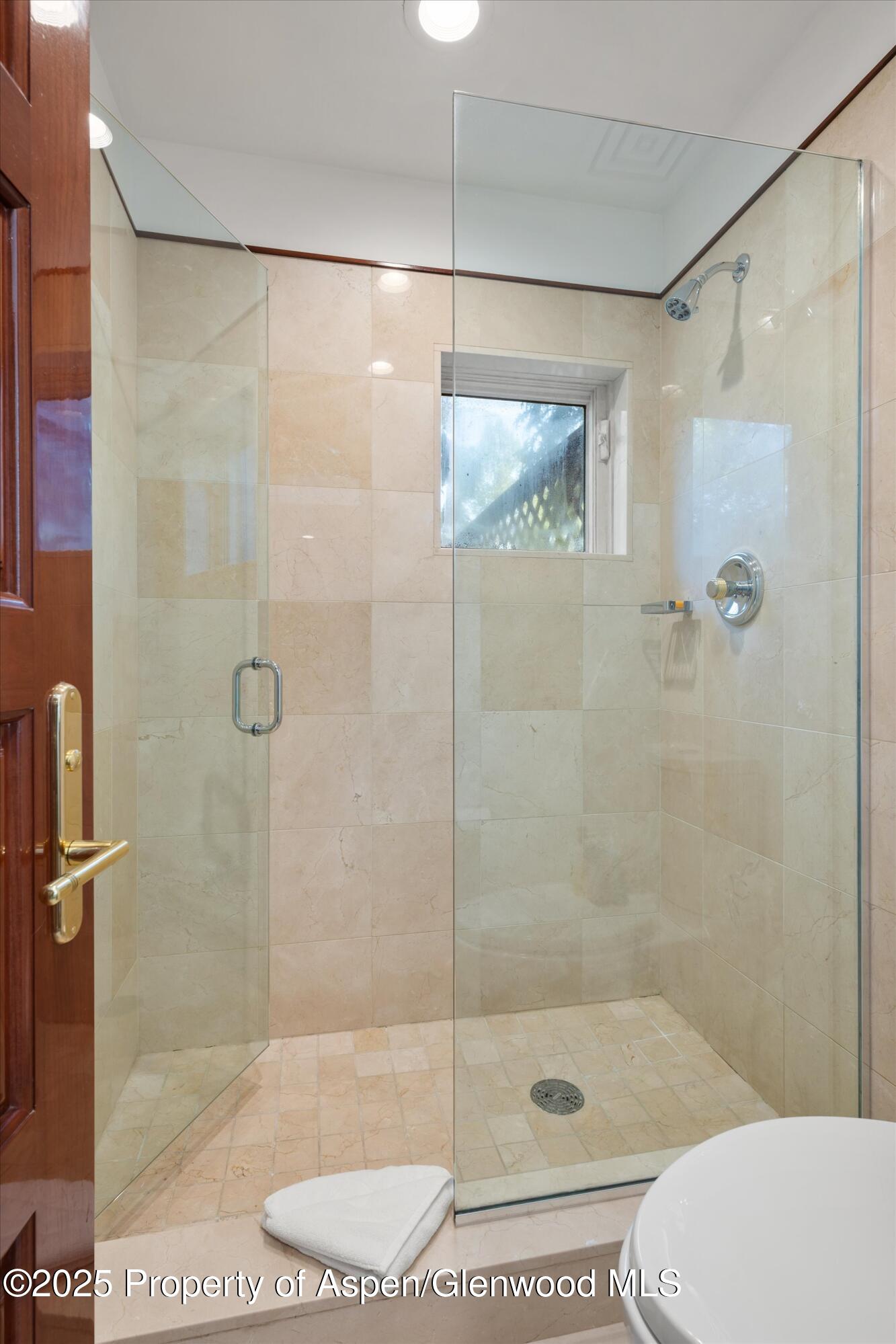 208 S Spring Street Aspen CO 81611