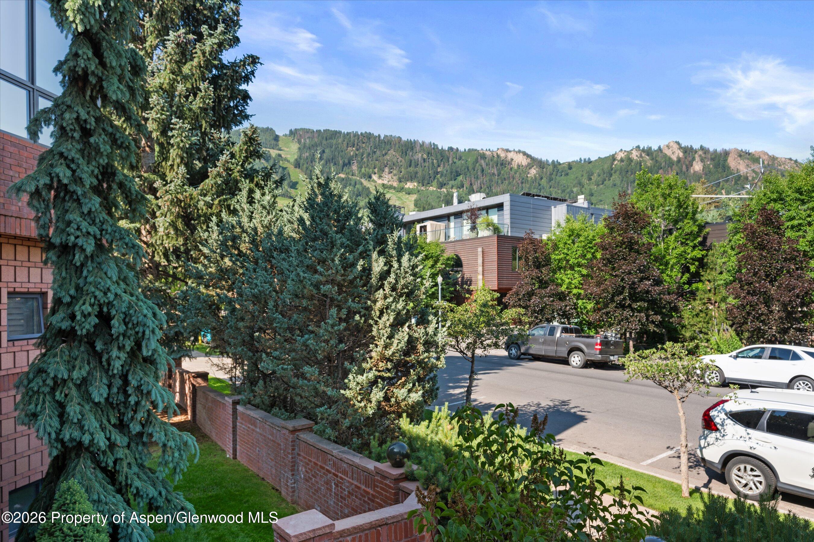 208 S Spring Street Aspen CO 81611