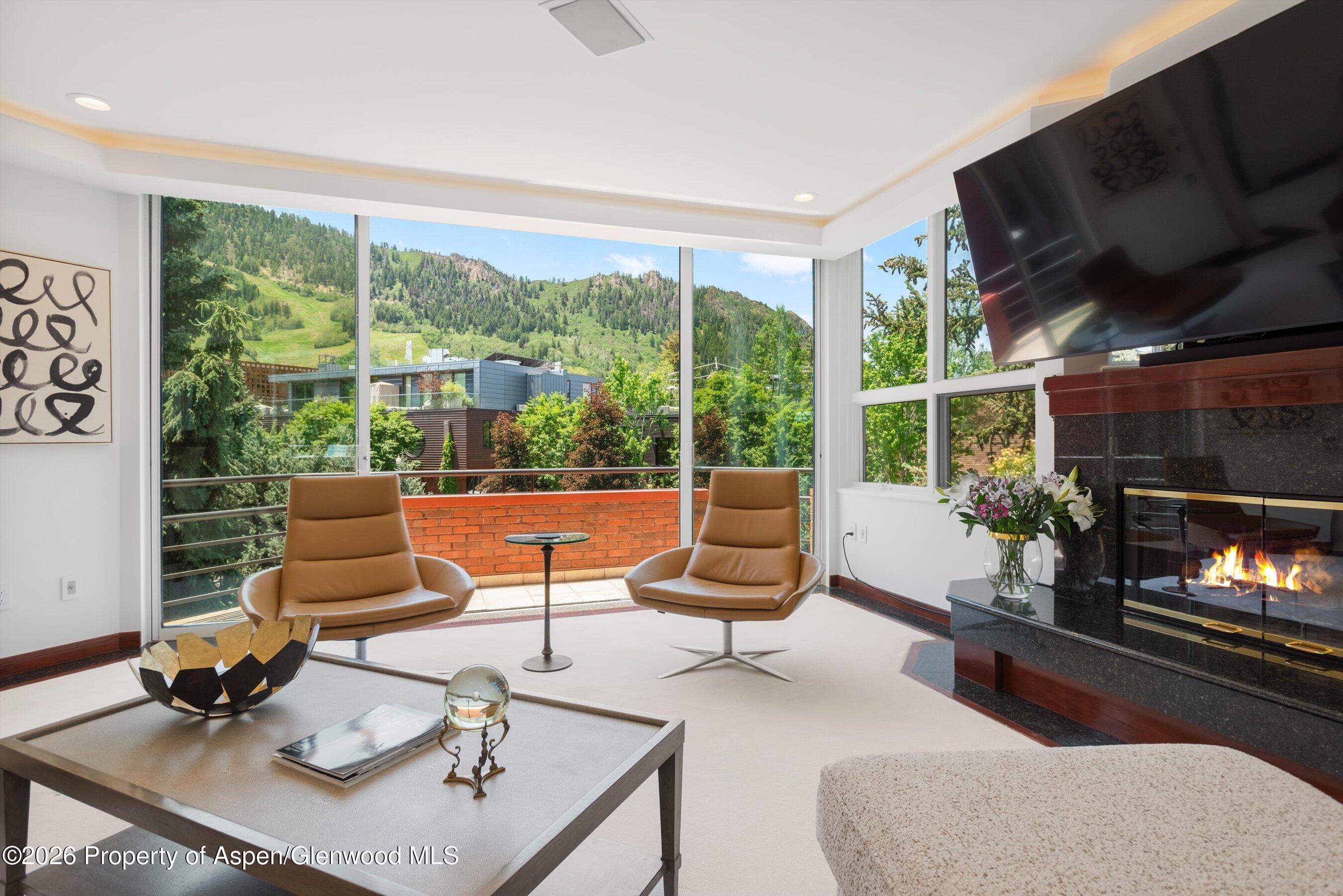 208 S Spring Street Aspen CO 81611