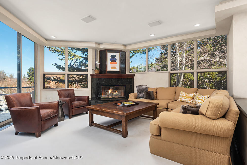 208 S Spring Street Aspen CO 81611