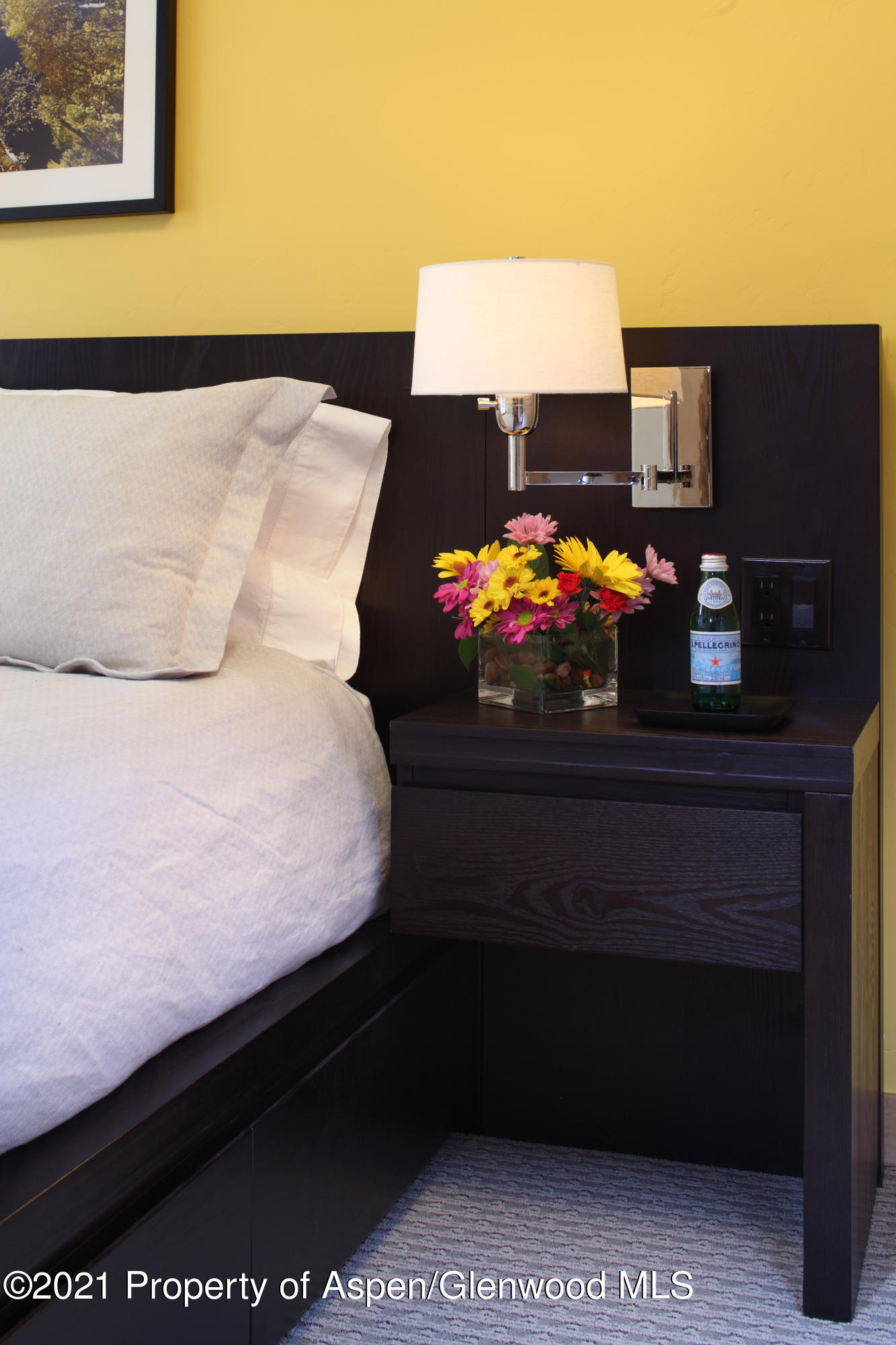 124 W Hyman Avenue Aspen CO 81611