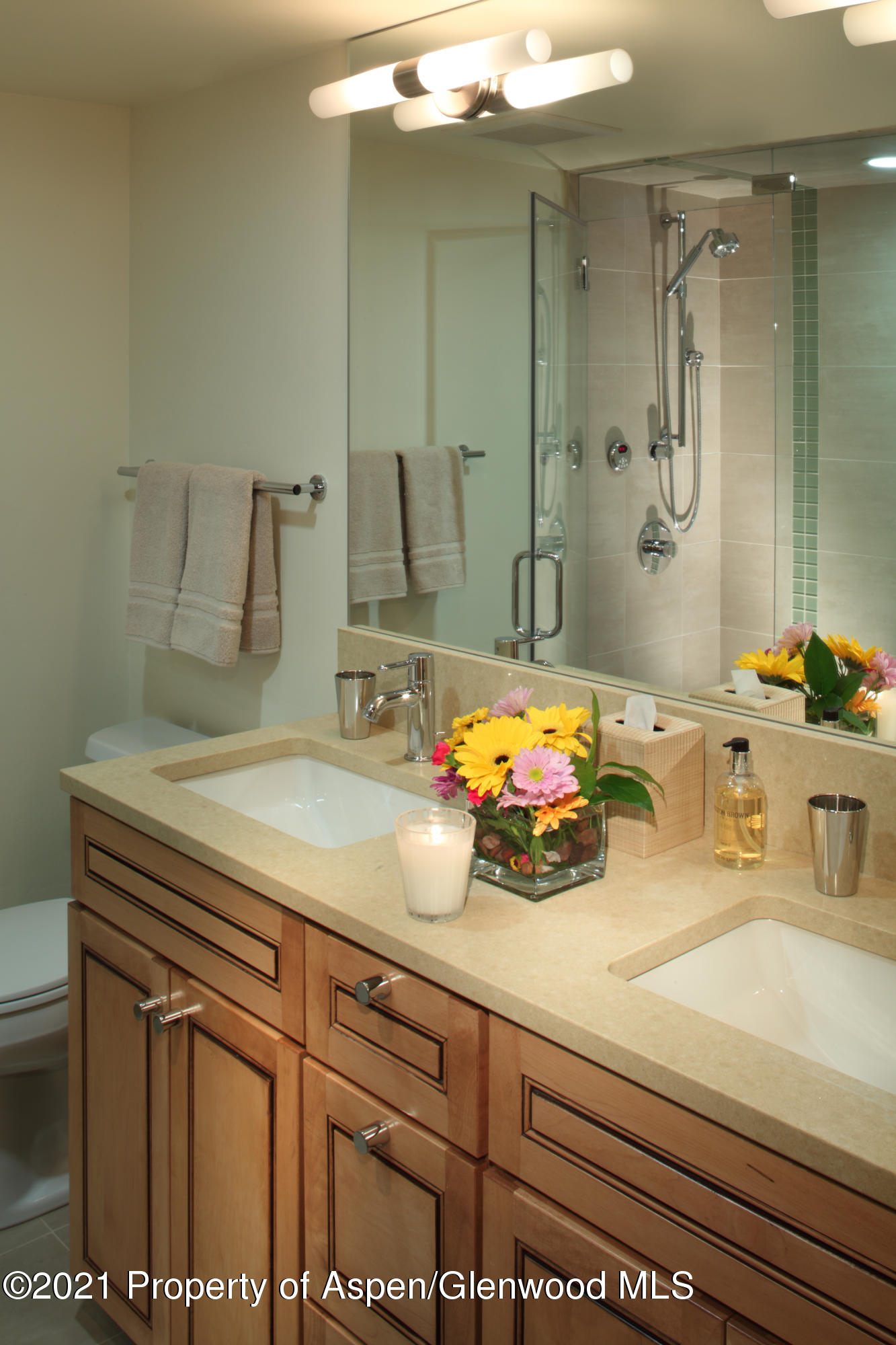 124 W Hyman Avenue Aspen CO 81611