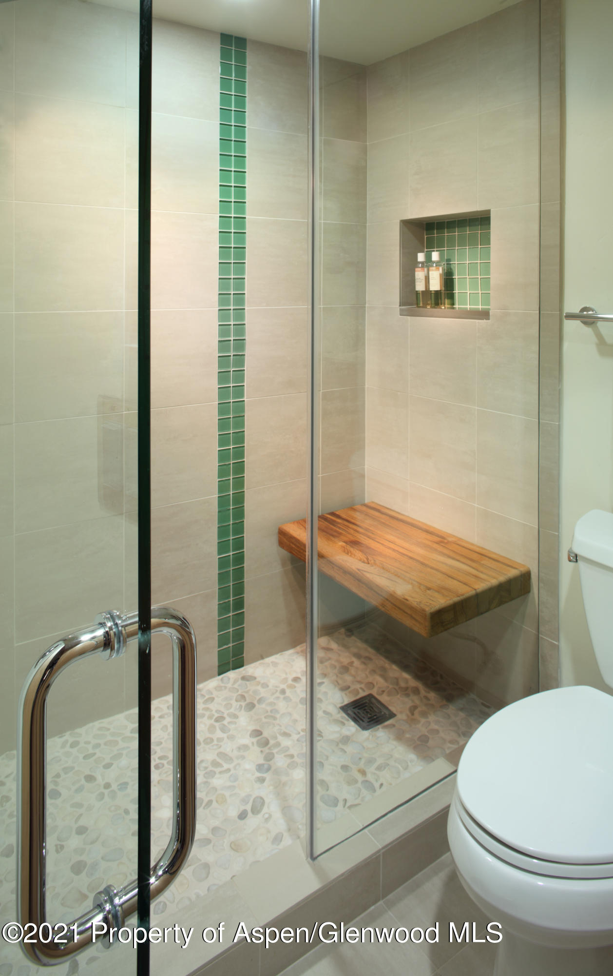 124 W Hyman Avenue Aspen CO 81611