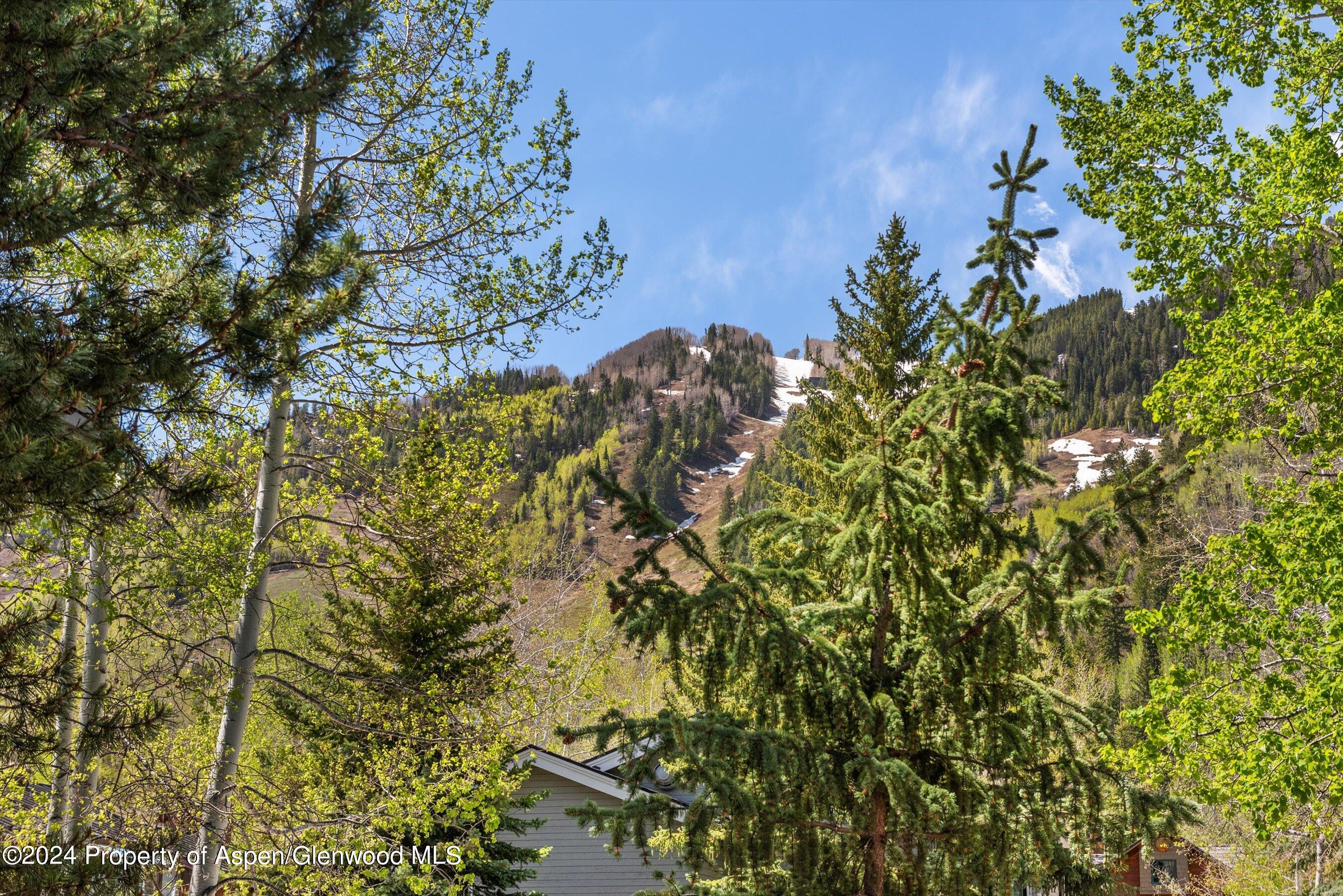 124 W Hyman Avenue Aspen CO 81611