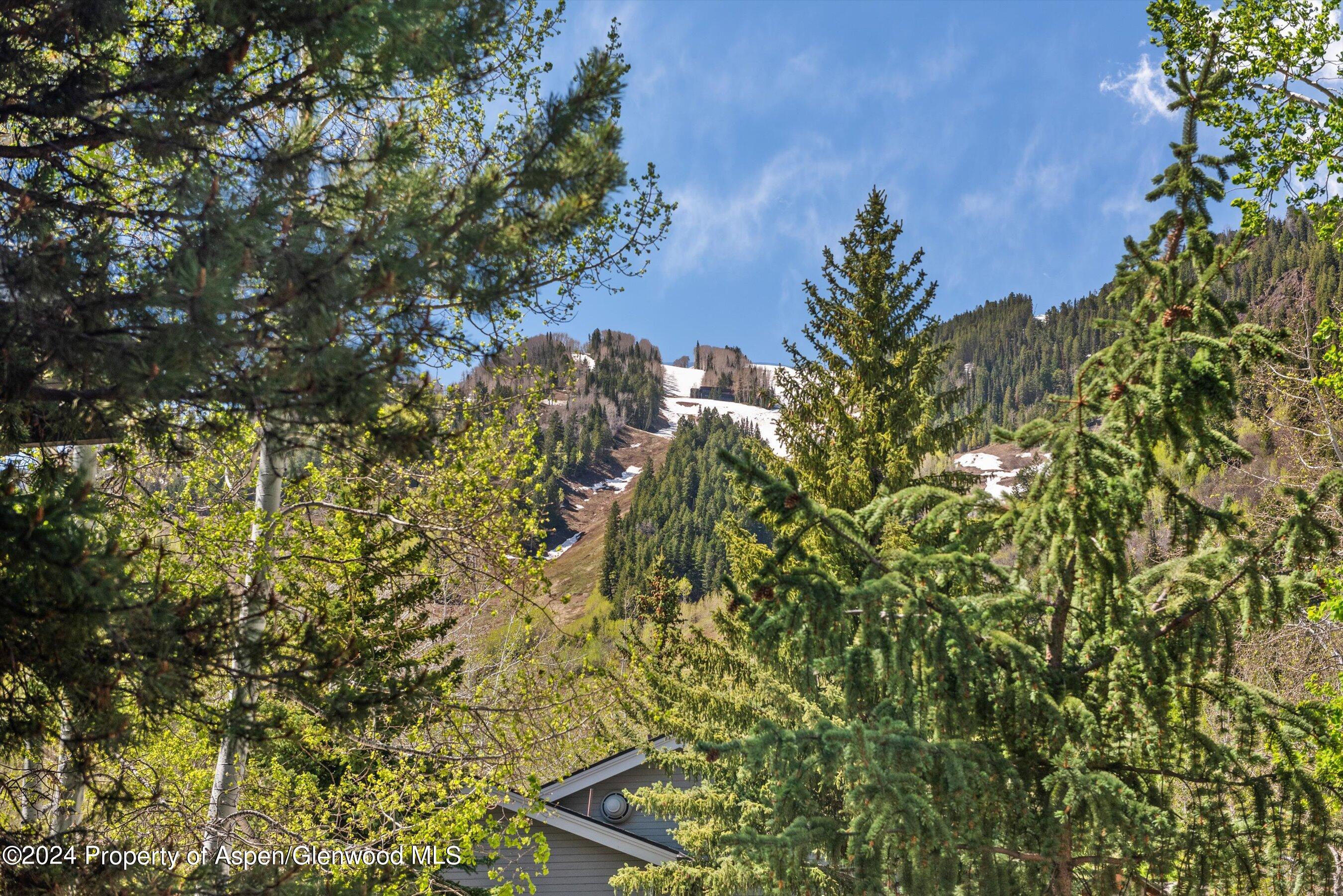 124 W Hyman Avenue Aspen CO 81611