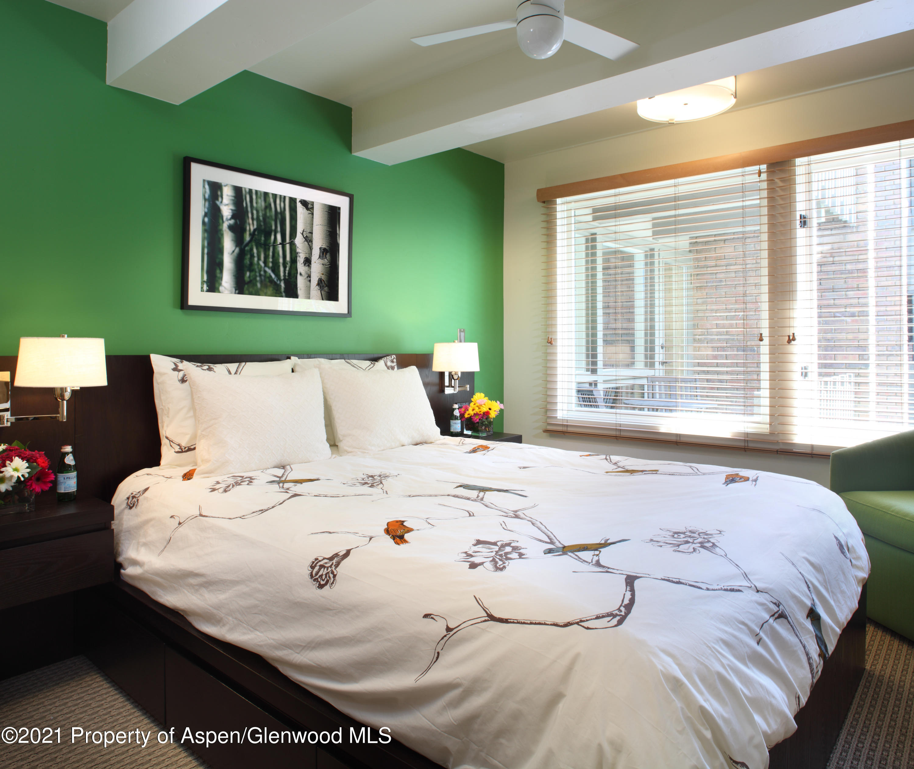 124 W Hyman Avenue Aspen CO 81611