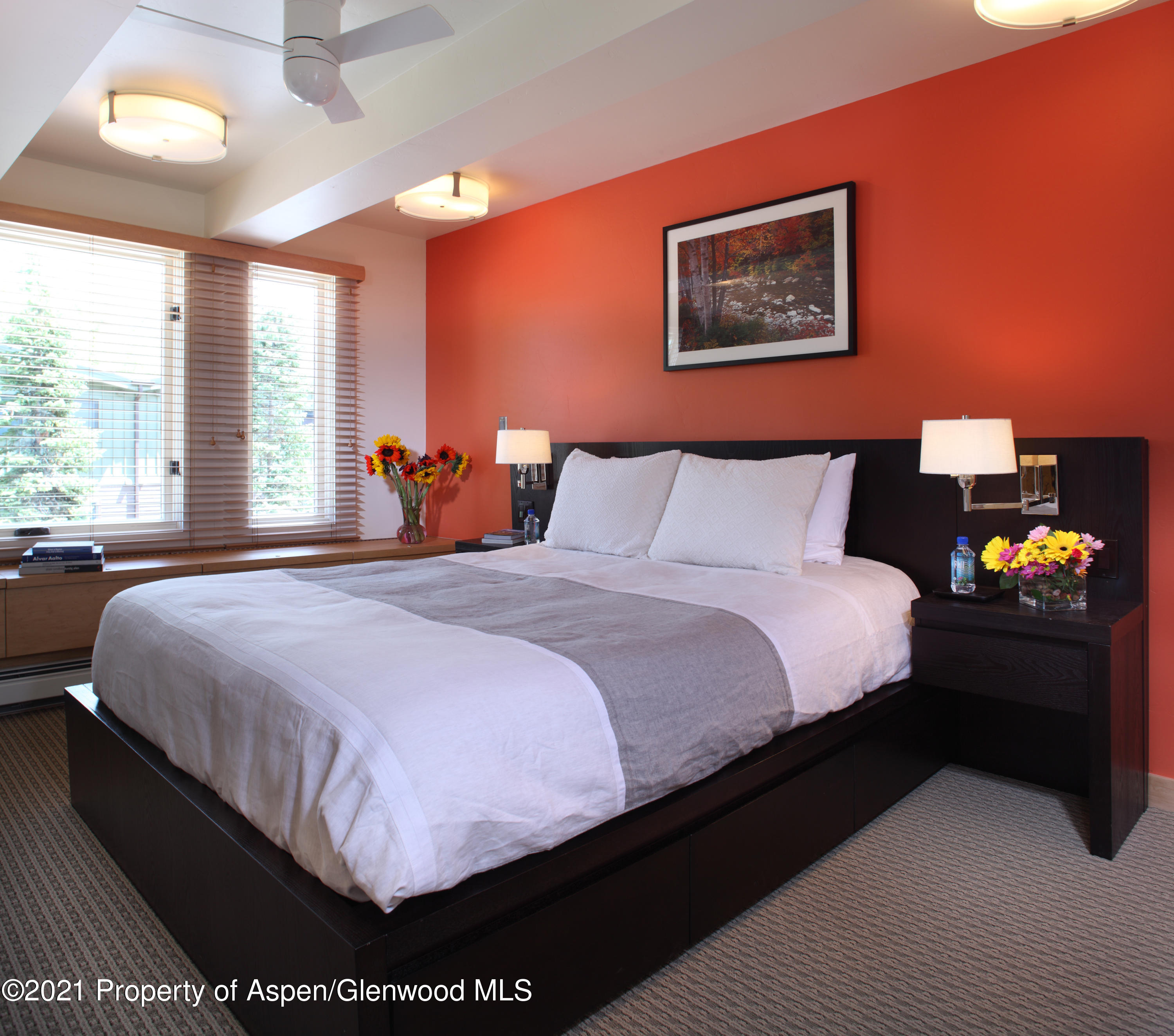 124 W Hyman Avenue Aspen CO 81611