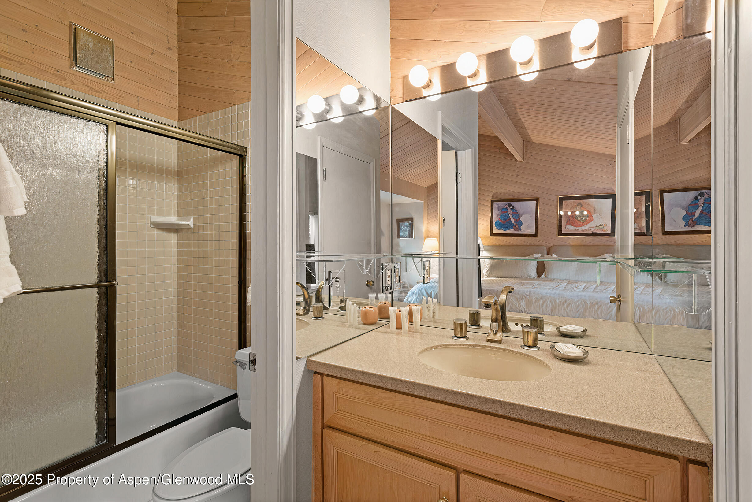 625 S West End Street Aspen CO 81611