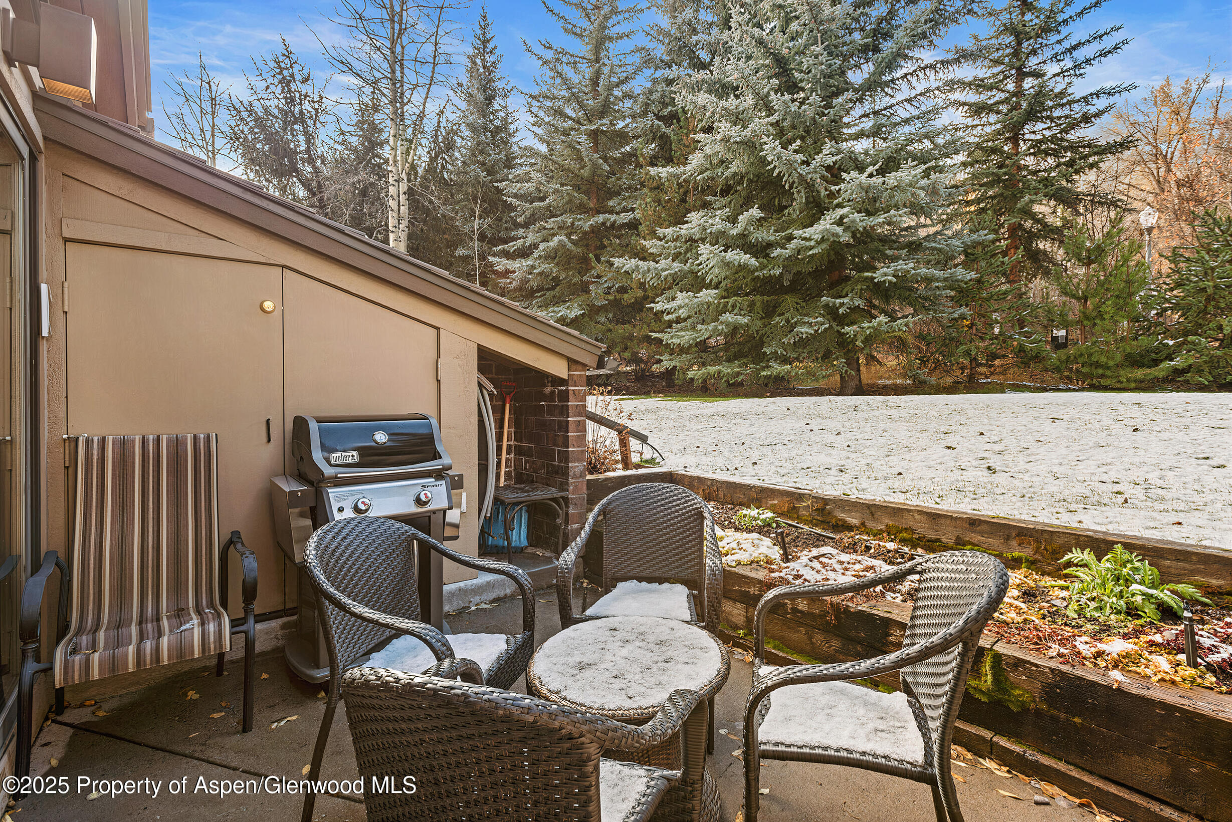 625 S West End Street Aspen CO 81611