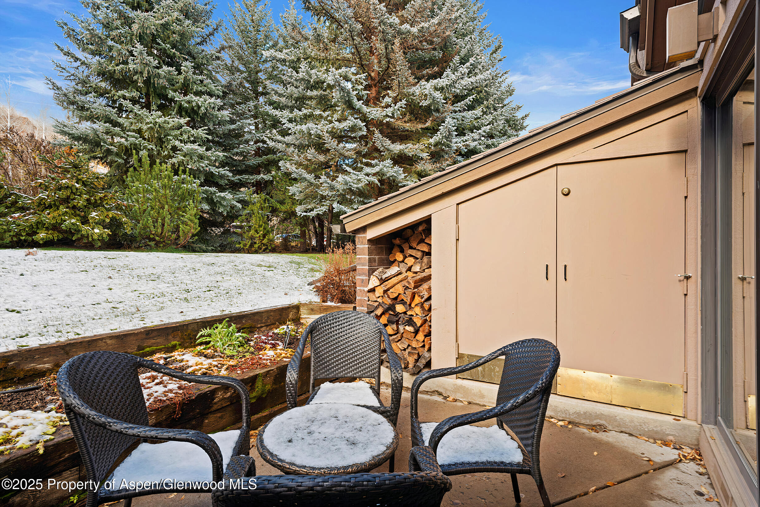 625 S West End Street Aspen CO 81611