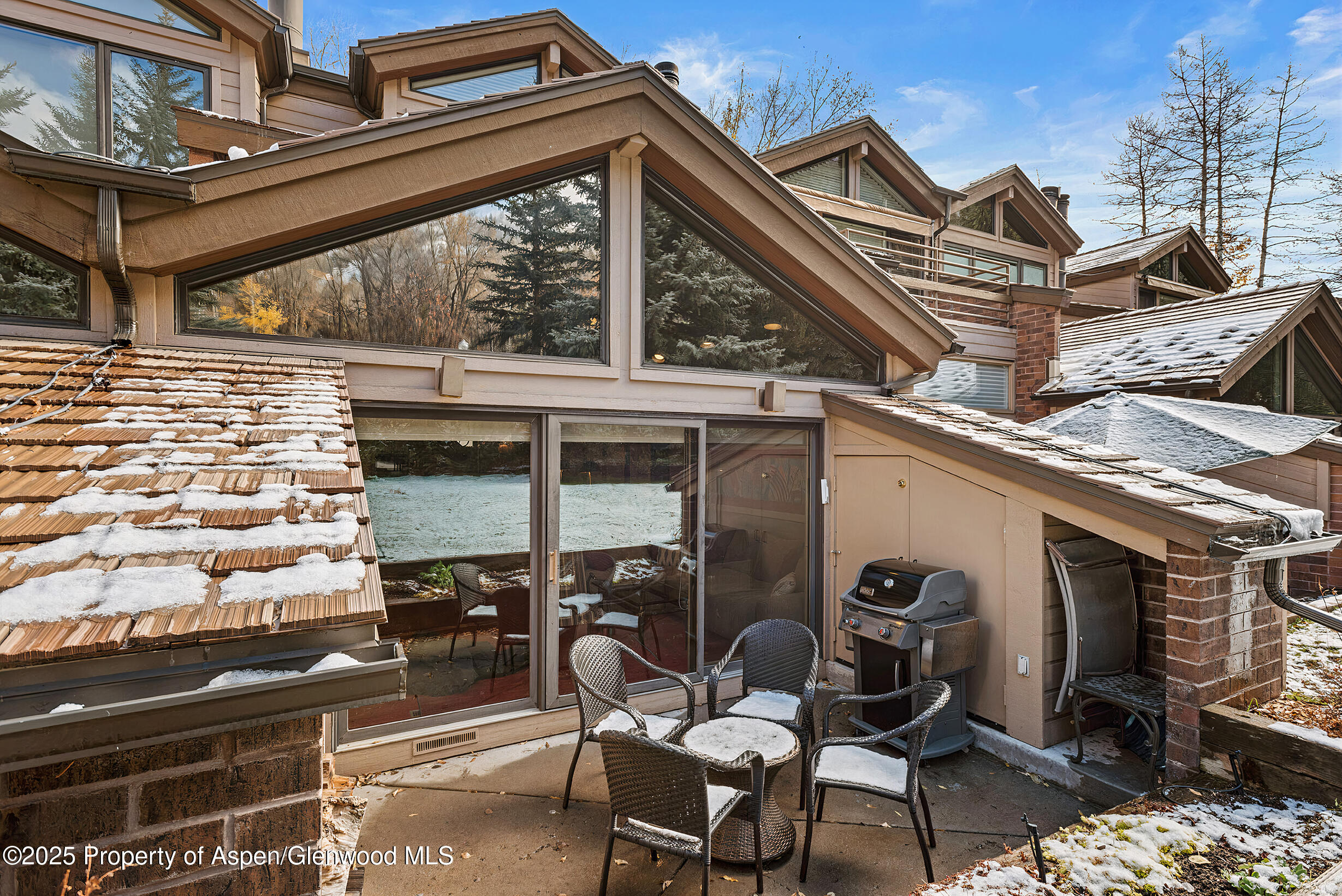 625 S West End Street Aspen CO 81611