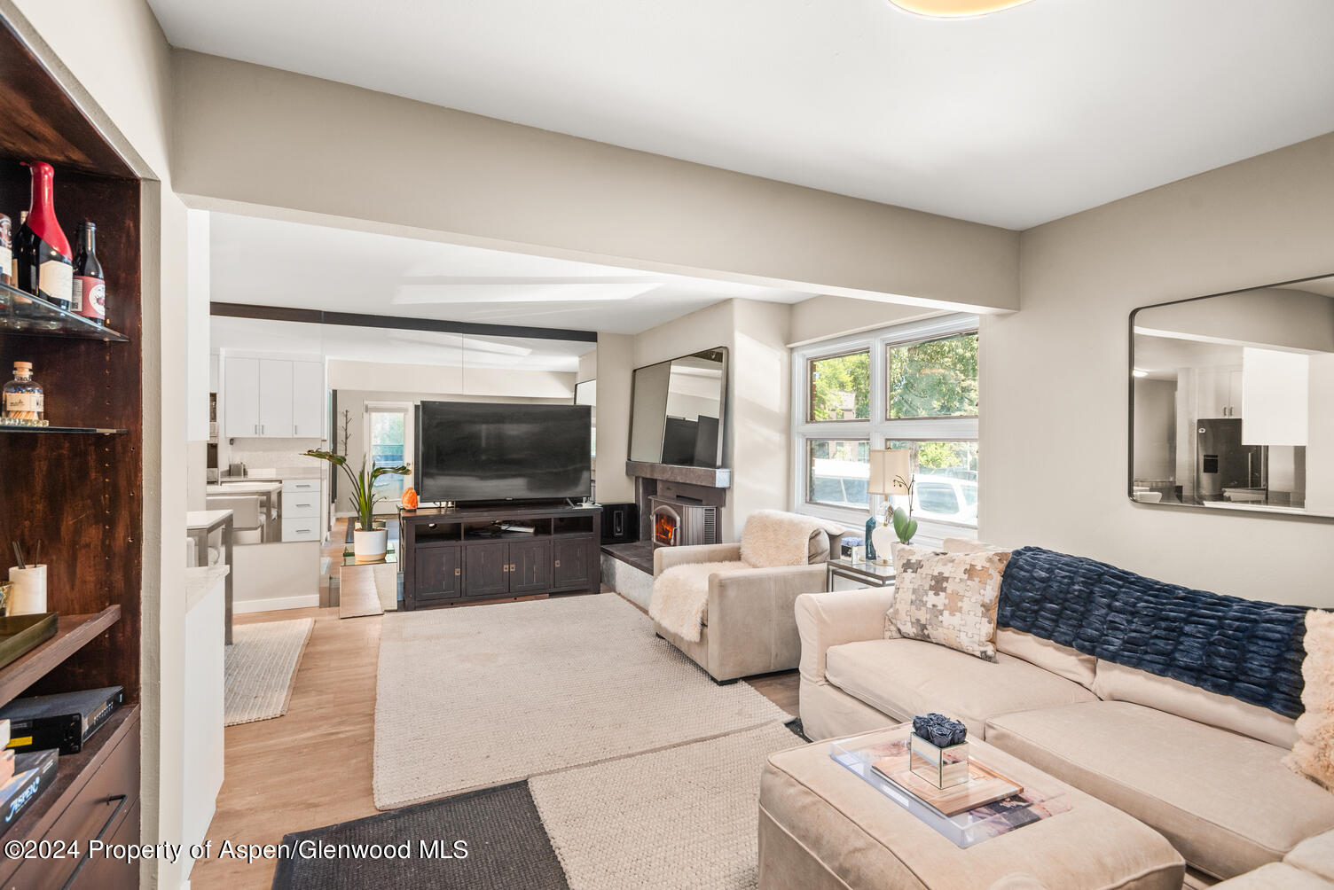 250 S Original Street Aspen CO 81611