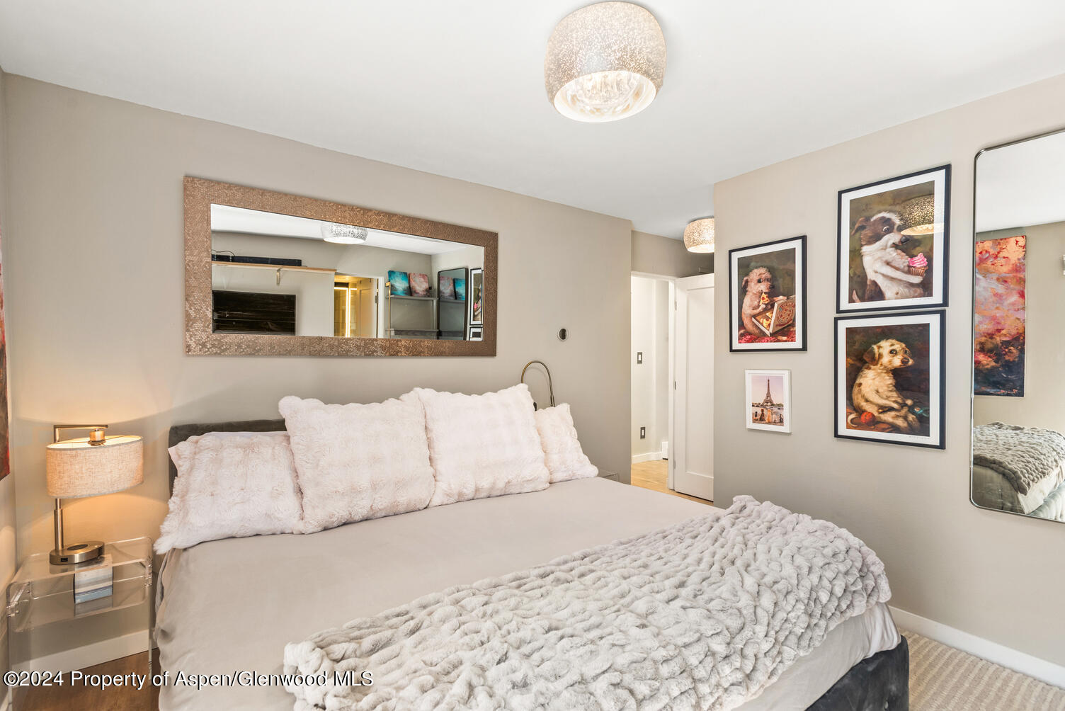 250 S Original Street Aspen CO 81611