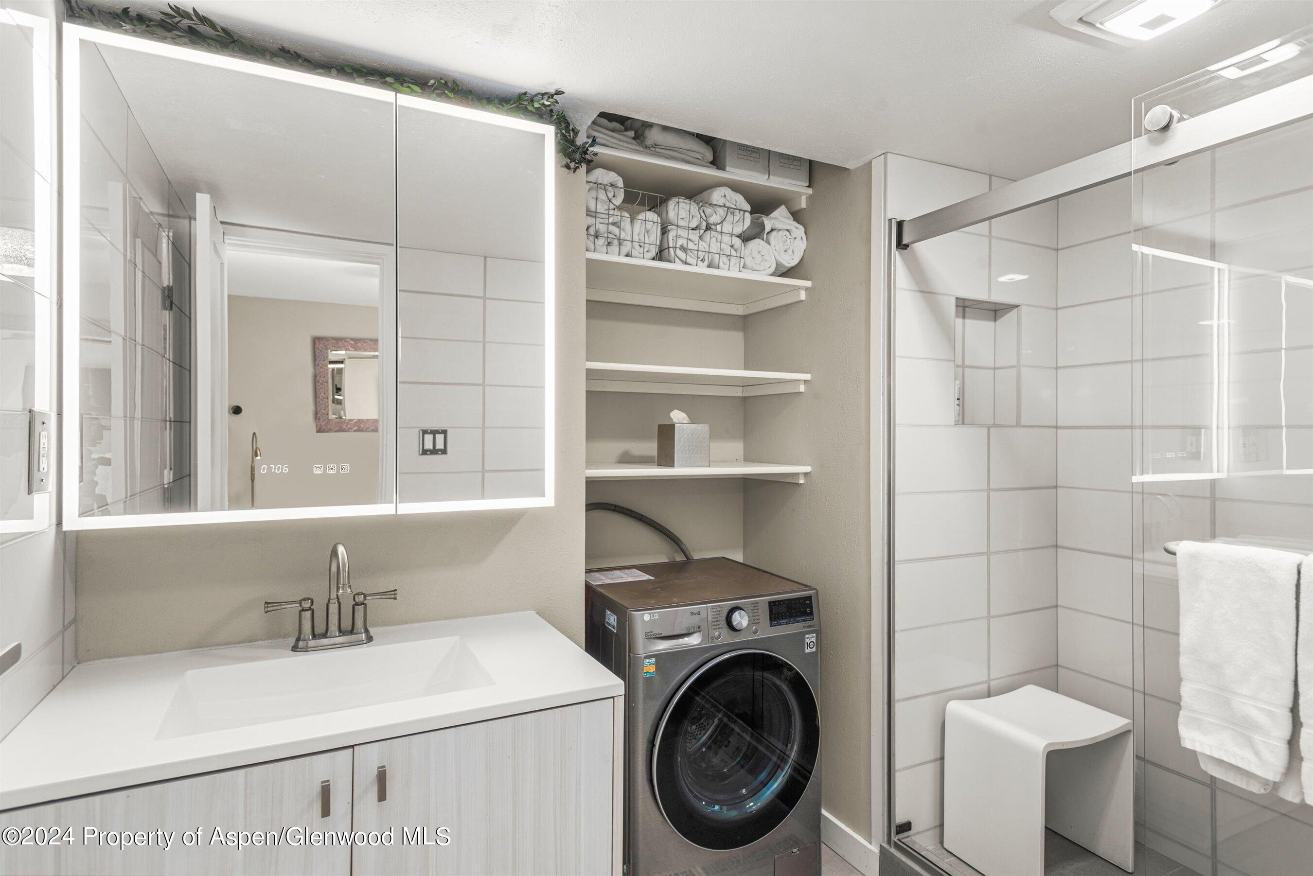 250 S Original Street Aspen CO 81611