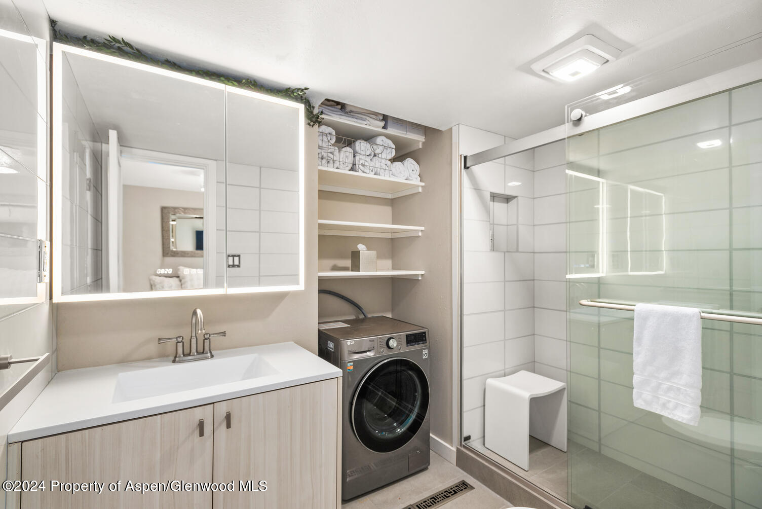 250 S Original Street Aspen CO 81611