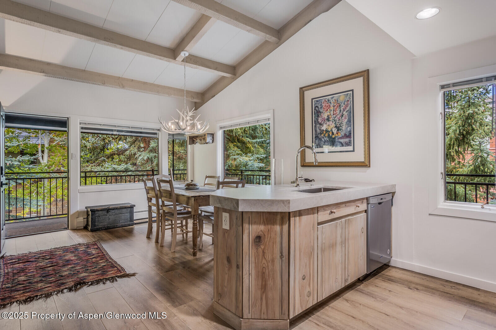 731 S Mill Street Aspen CO 81611