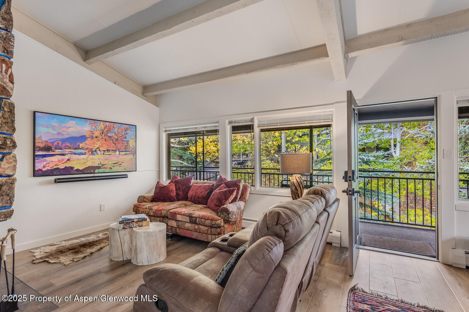 731 S Mill Street Aspen CO 81611