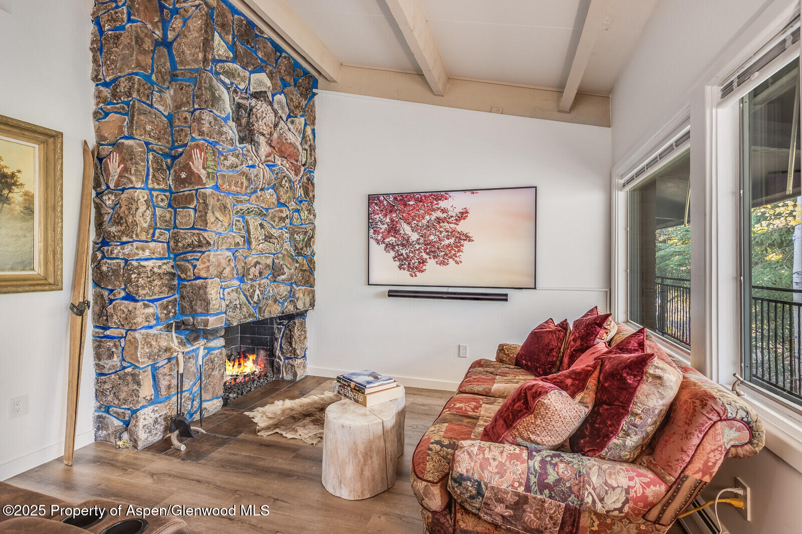 731 S Mill Street Aspen CO 81611