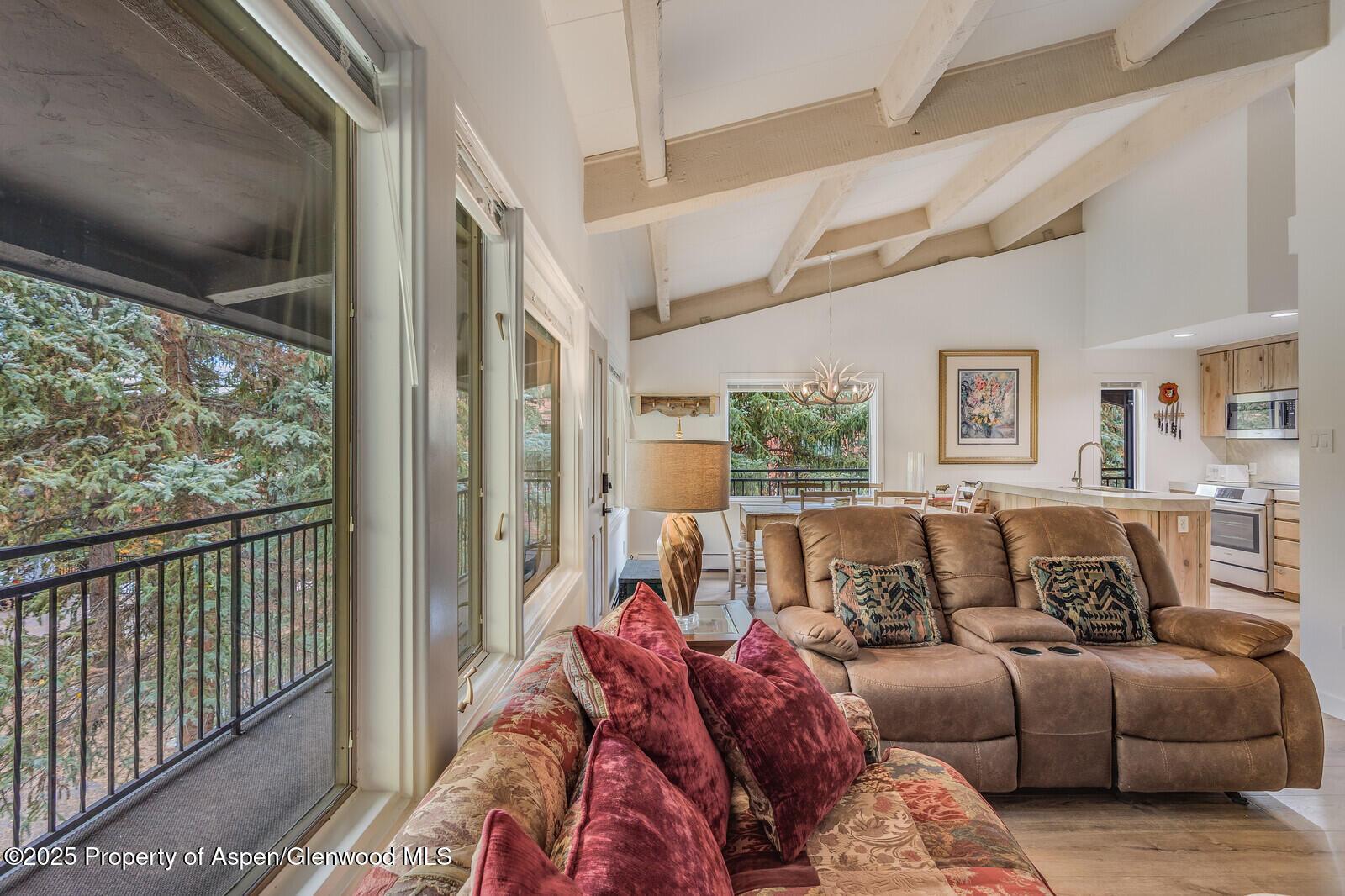 731 S Mill Street Aspen CO 81611