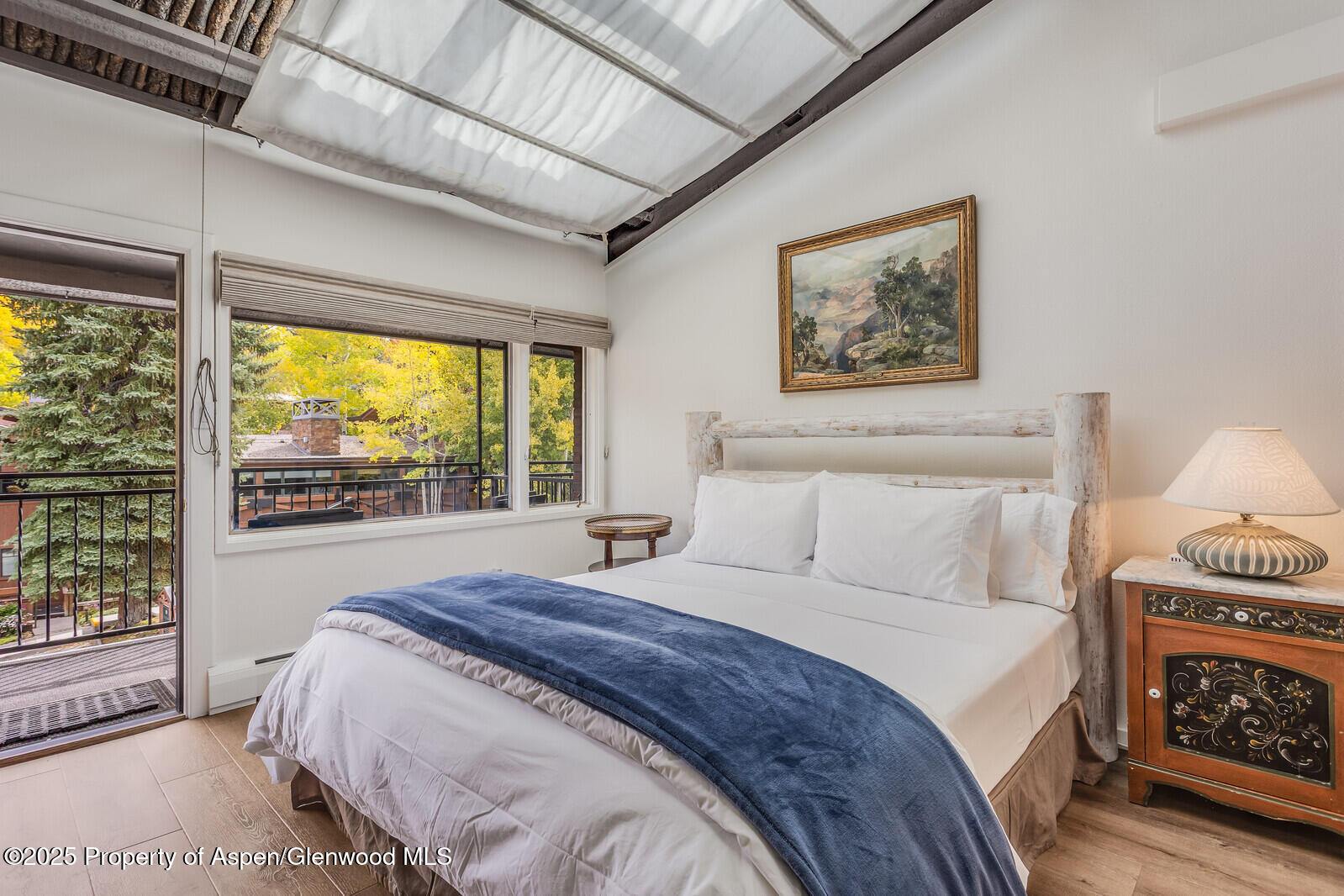 731 S Mill Street Aspen CO 81611